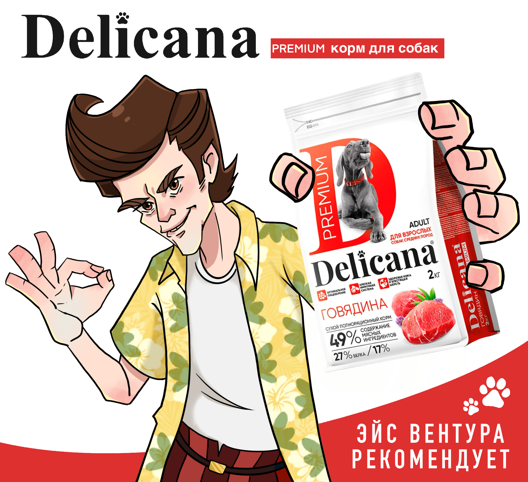 Персонаж для рекламы корма от "Delicana" — Изображение №3 — Иллюстрация, Маркетинг на Dprofile