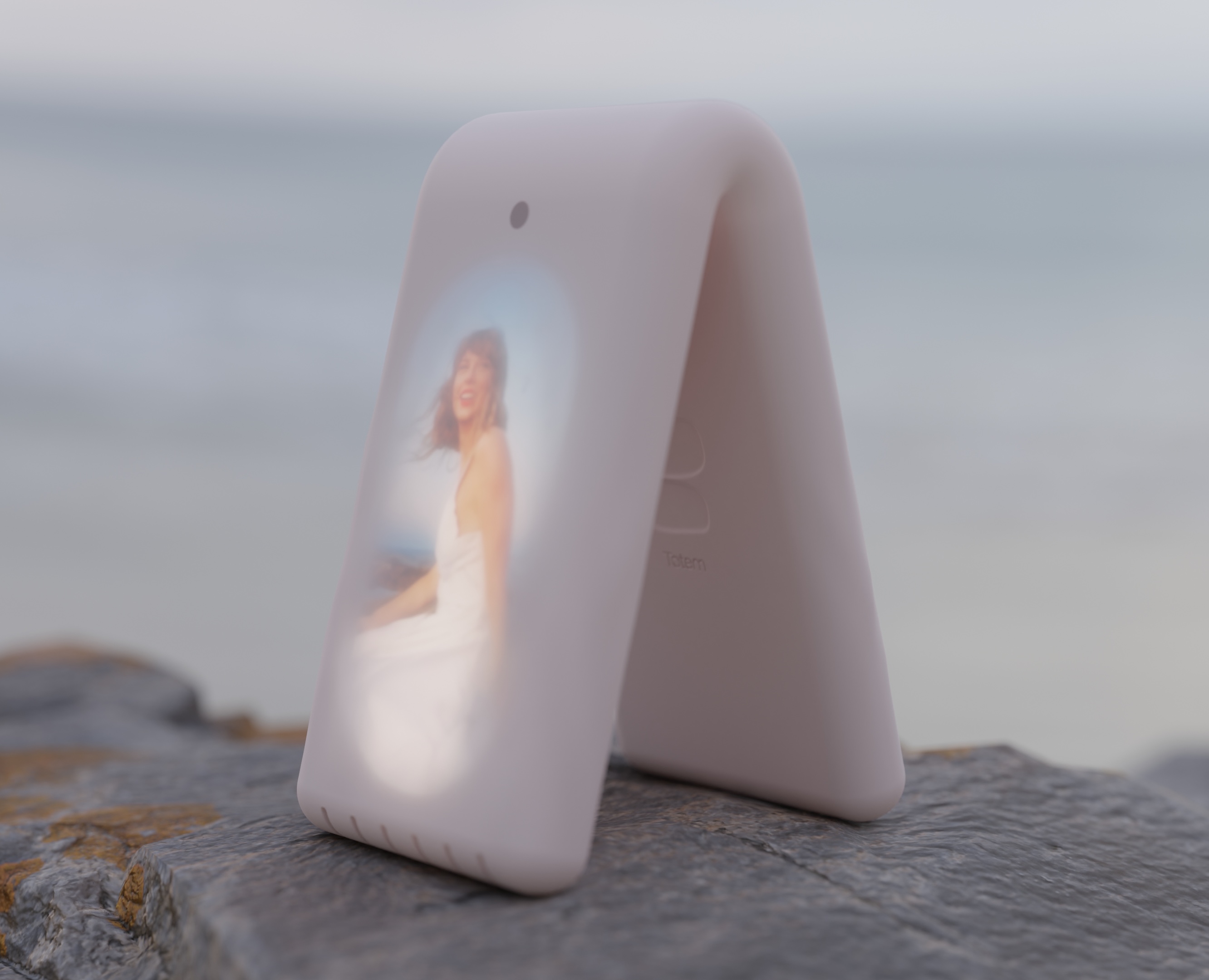 Totem — 3D на Dprofile
