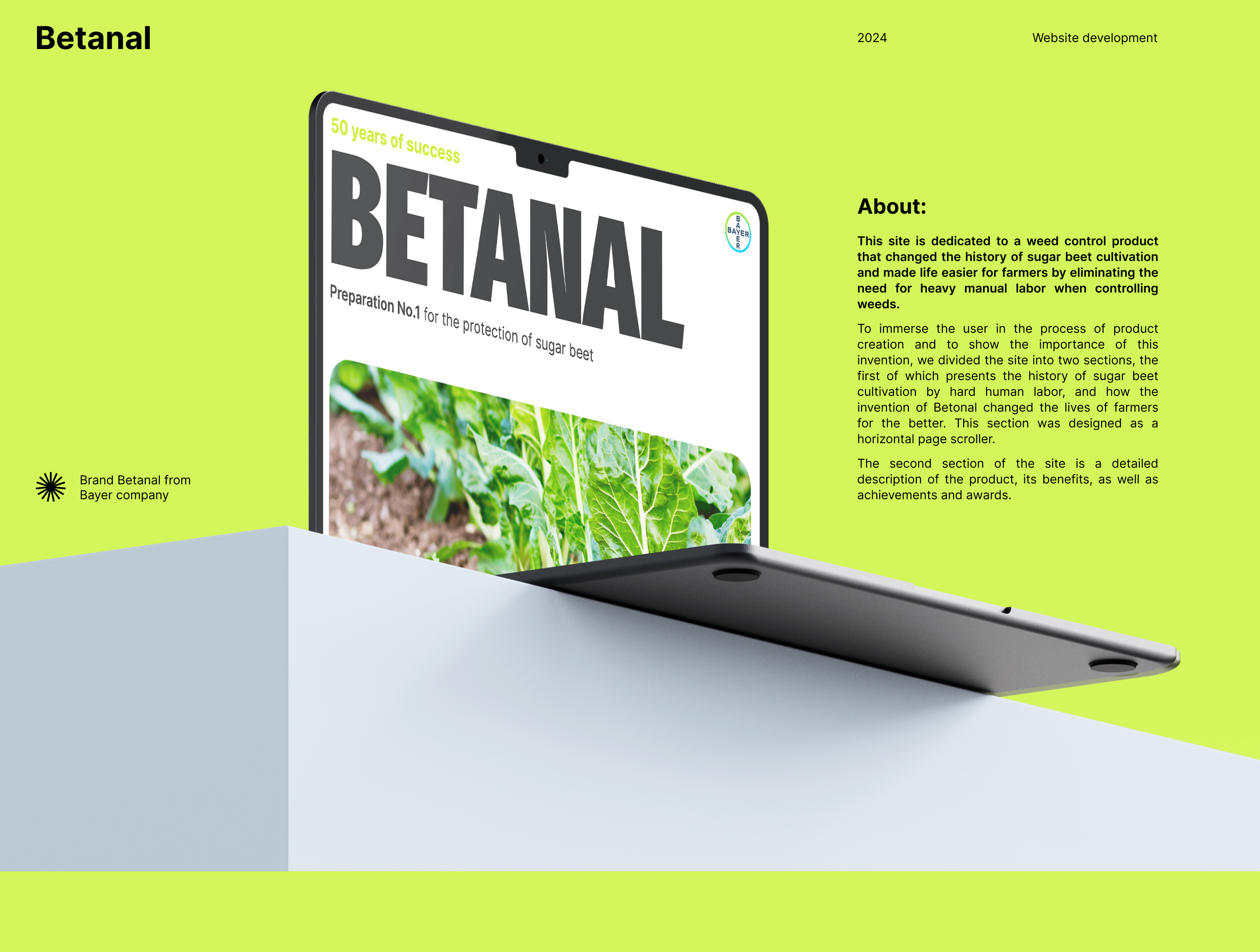 Betanal website — Изображение №1 — Интерфейсы, Иллюстрация на Dprofile