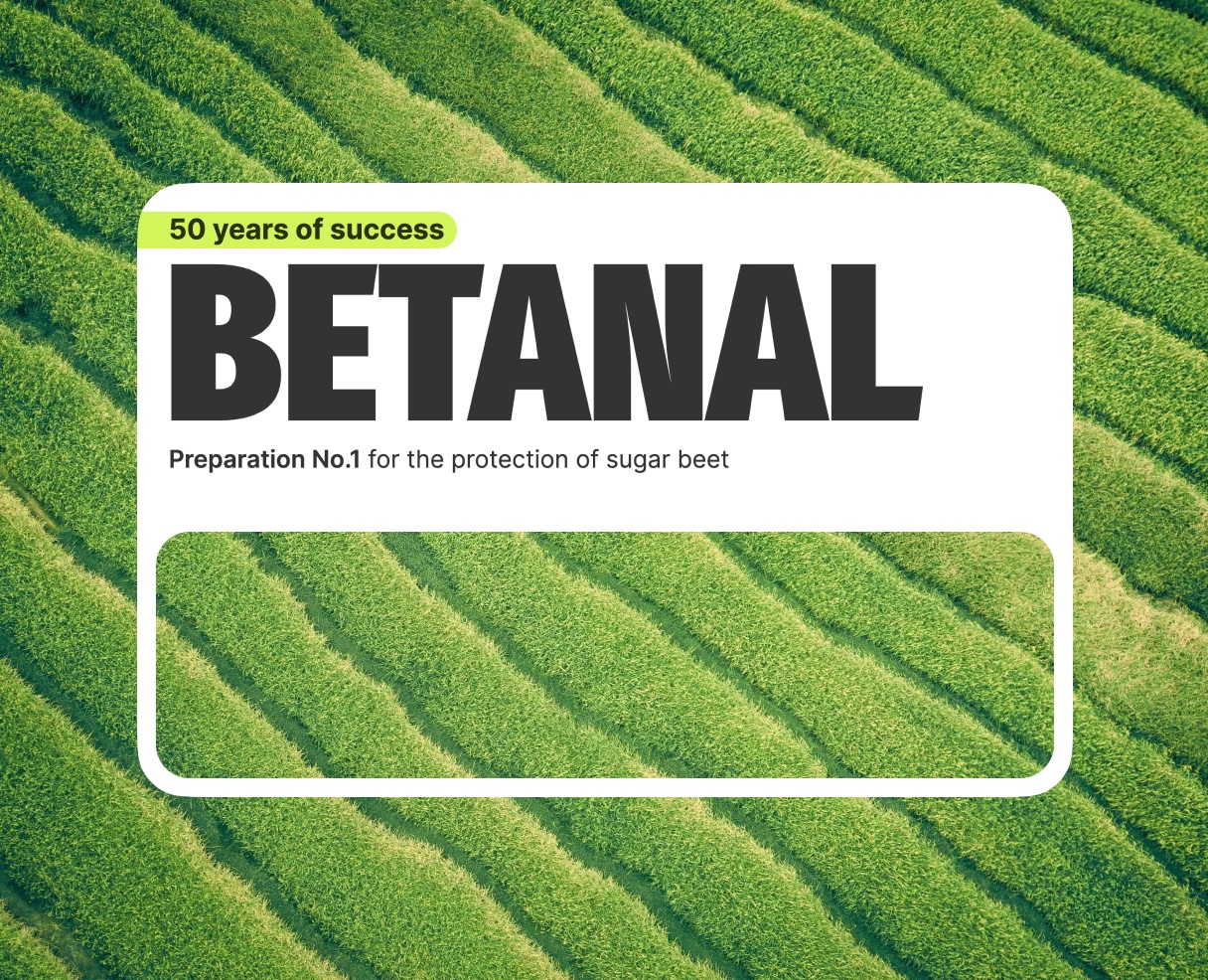 Betanal website на Dprofile
