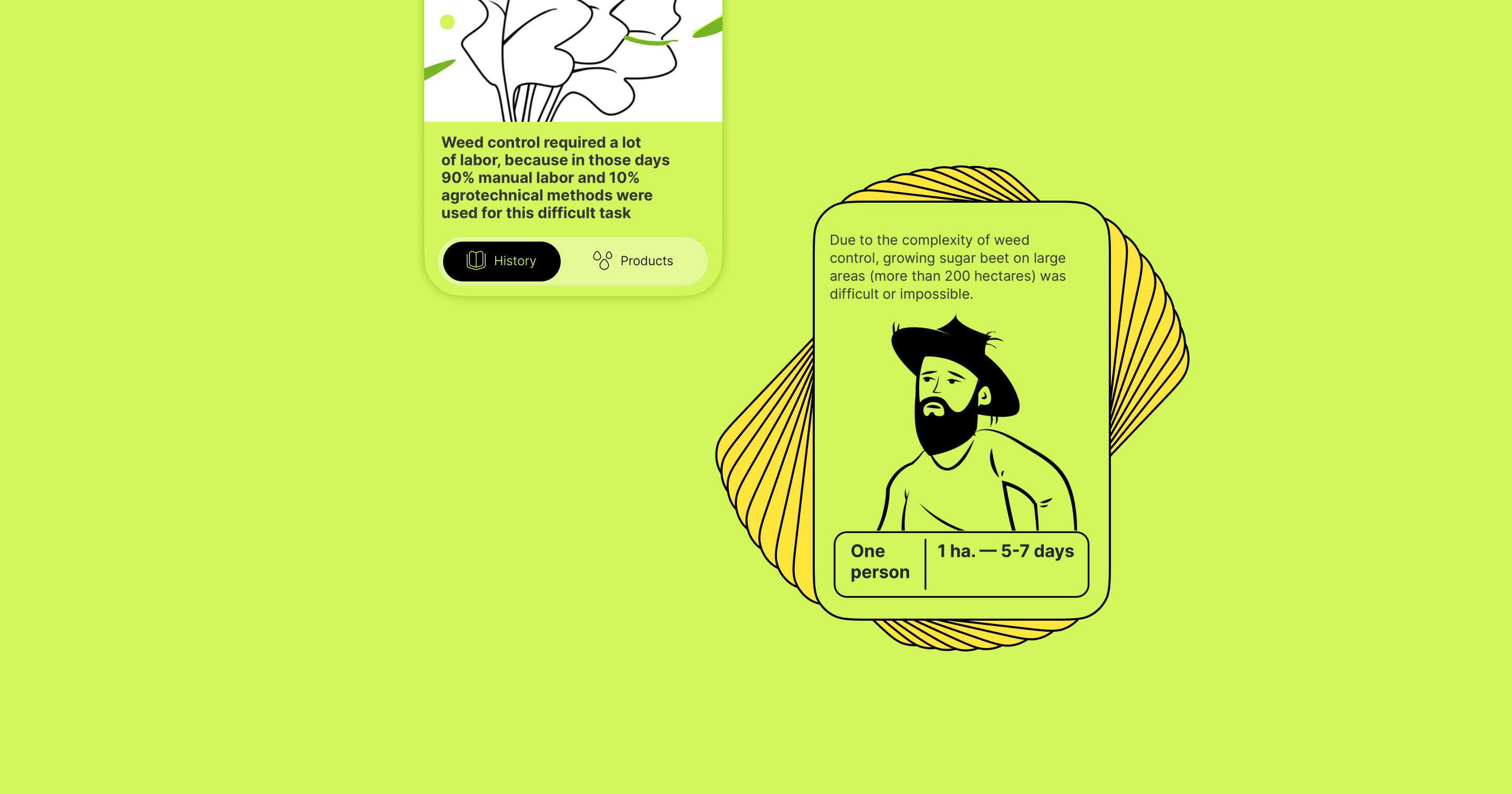 Betanal website — Изображение №3 — Интерфейсы, Иллюстрация на Dprofile