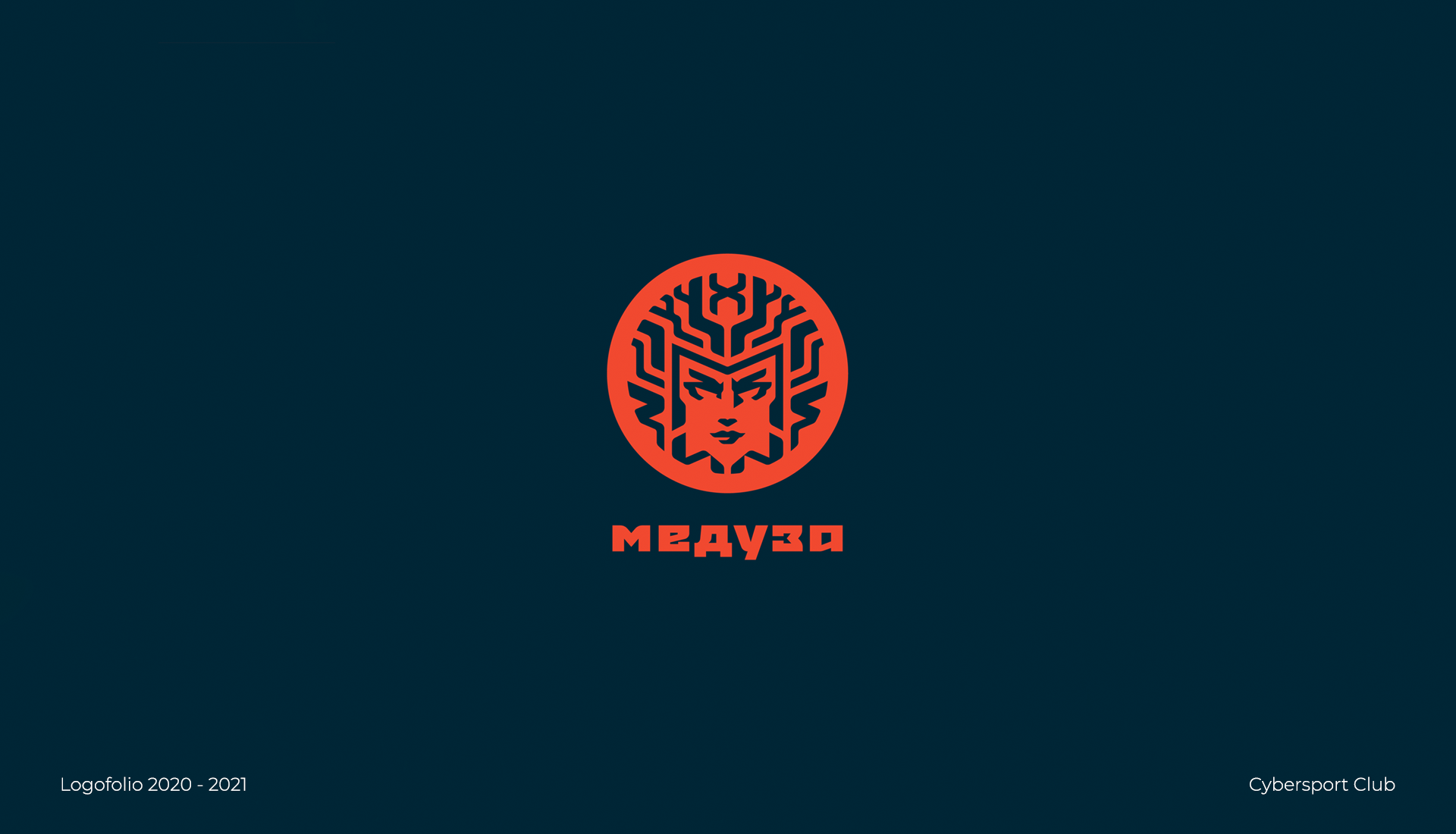 Logofolio 2020-2021 — Изображение №4 — Брендинг, Иллюстрация на Dprofile
