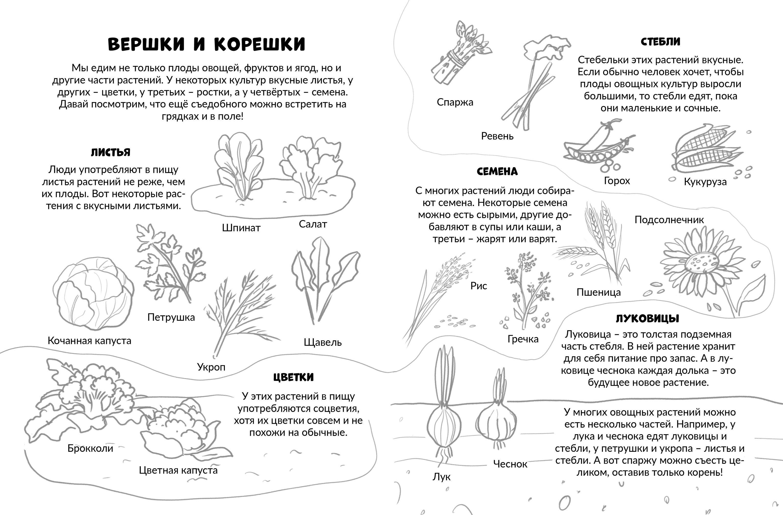 Зачем человек ест? "Уральский издательский дом" — Изображение №9 — Иллюстрация, Графика на Dprofile