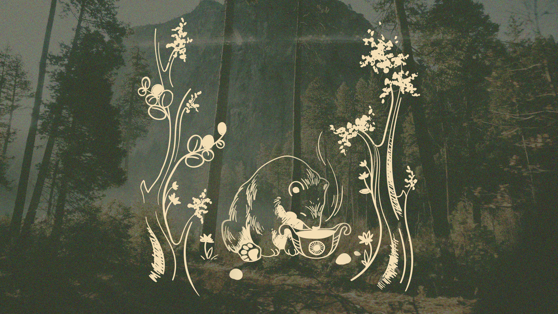 KAVA — логотип/упаковка — Изображение №6 — Брендинг, 3D на Dprofile