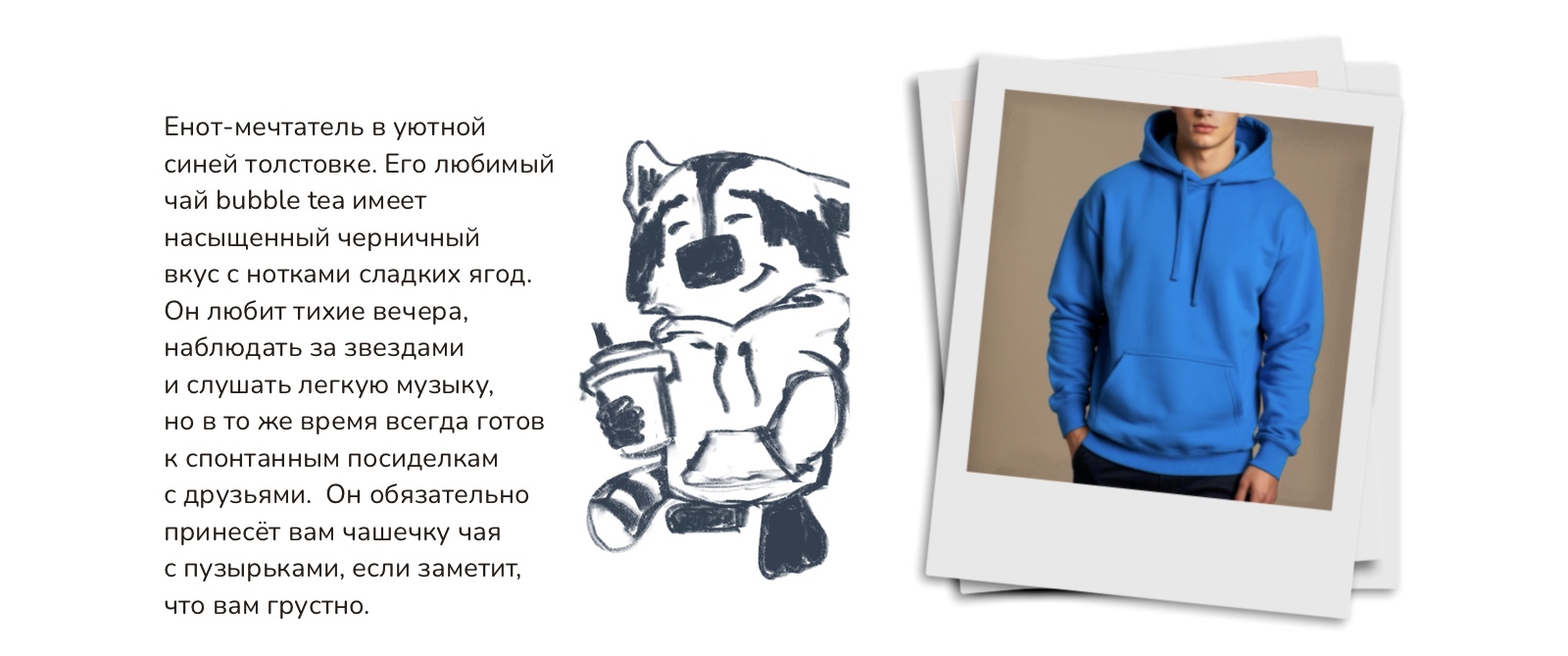 ЛунныйЕнот.Маскот — Изображение №3 — Брендинг, Иллюстрация на Dprofile