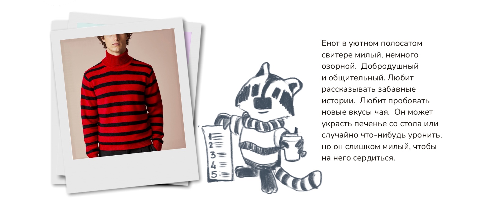 ЛунныйЕнот.Маскот — Изображение №2 — Брендинг, Иллюстрация на Dprofile