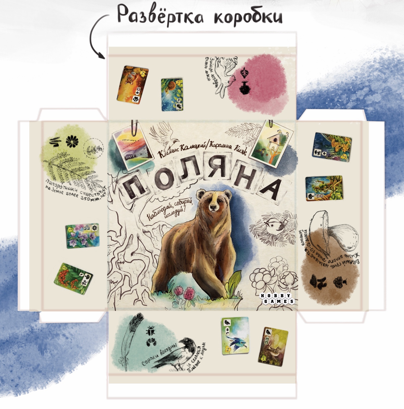 Редизайн настольной игры — Изображение №3 — Брендинг, Иллюстрация на Dprofile