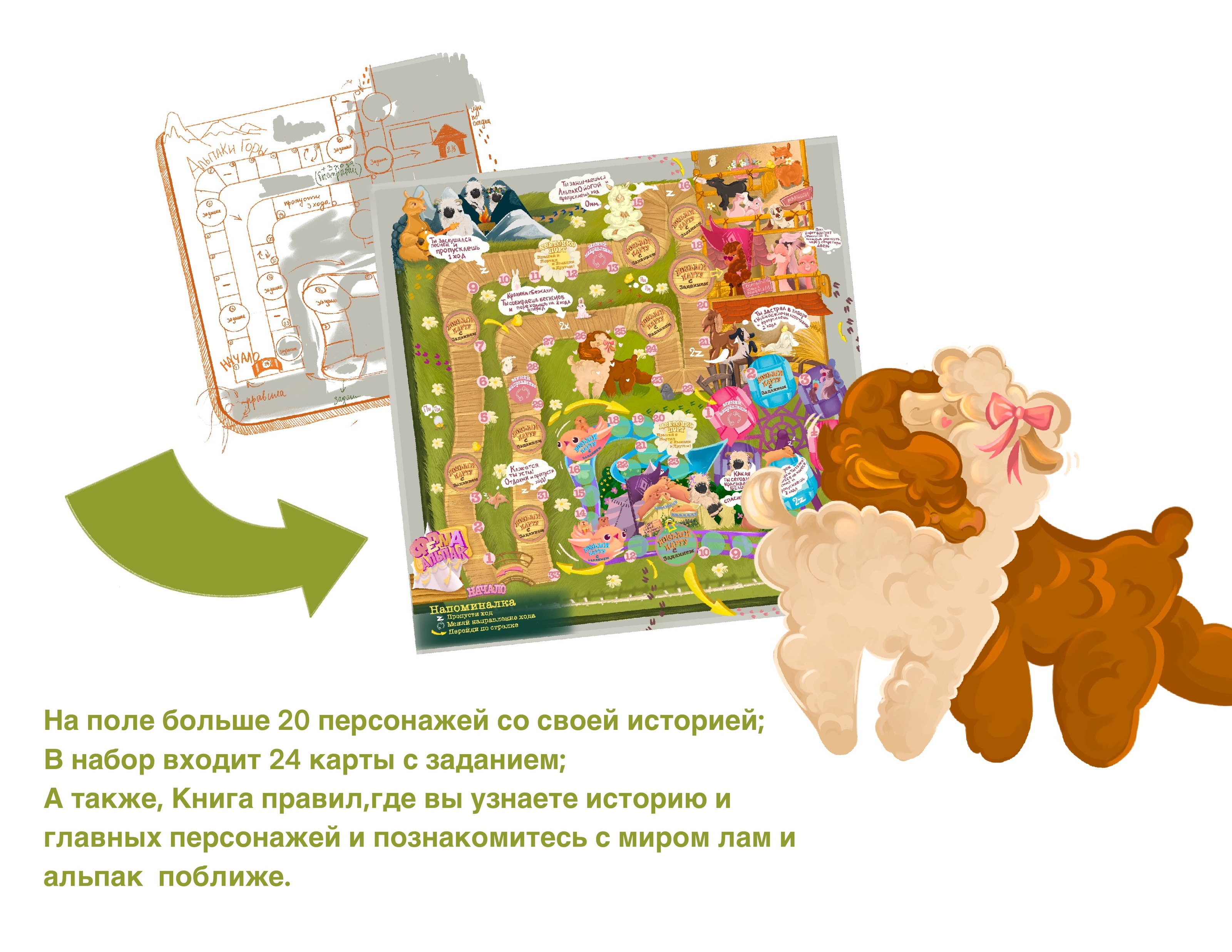 Ферма Альпак Настольная Игра — Изображение №5 — Брендинг, Иллюстрация на Dprofile