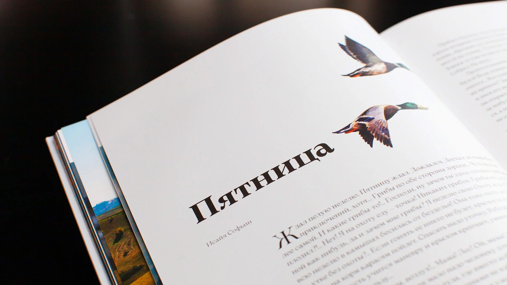 Иллюстрация к книге — Изображение №13 — Иллюстрация, Графика на Dprofile