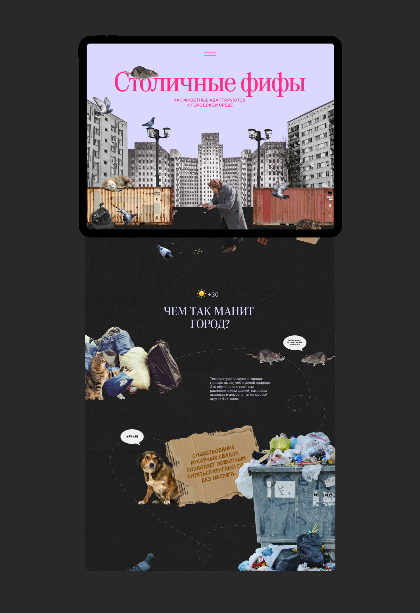 Лендинг Столичные фифы — Изображение №3 — Интерфейсы, Анимация на Dprofile