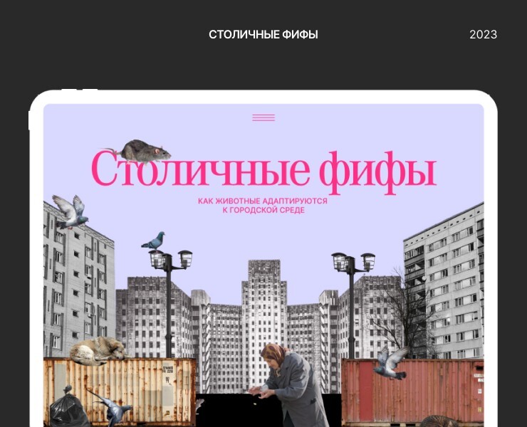 Лендинг Столичные фифы — Интерфейсы, Анимация на Dprofile