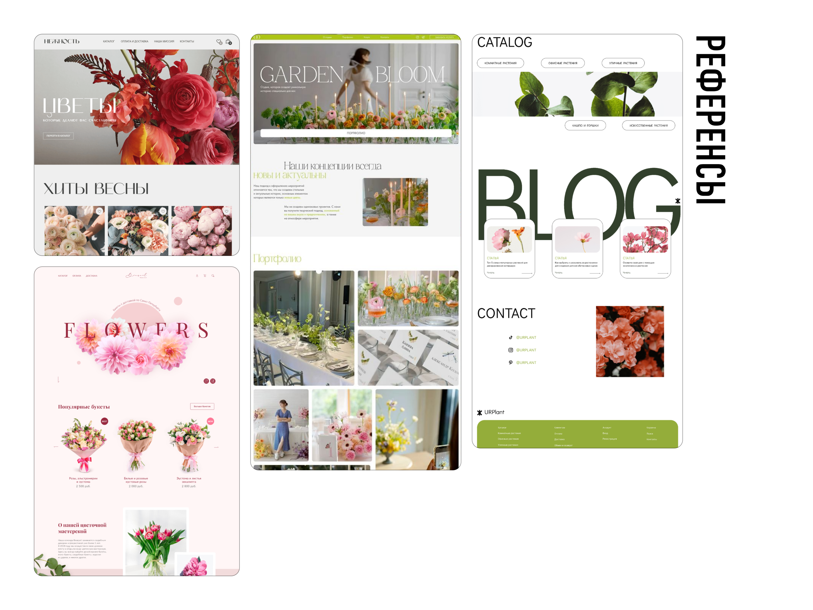 Botanical Panno | Landing Page — Изображение №4 — Интерфейсы на Dprofile