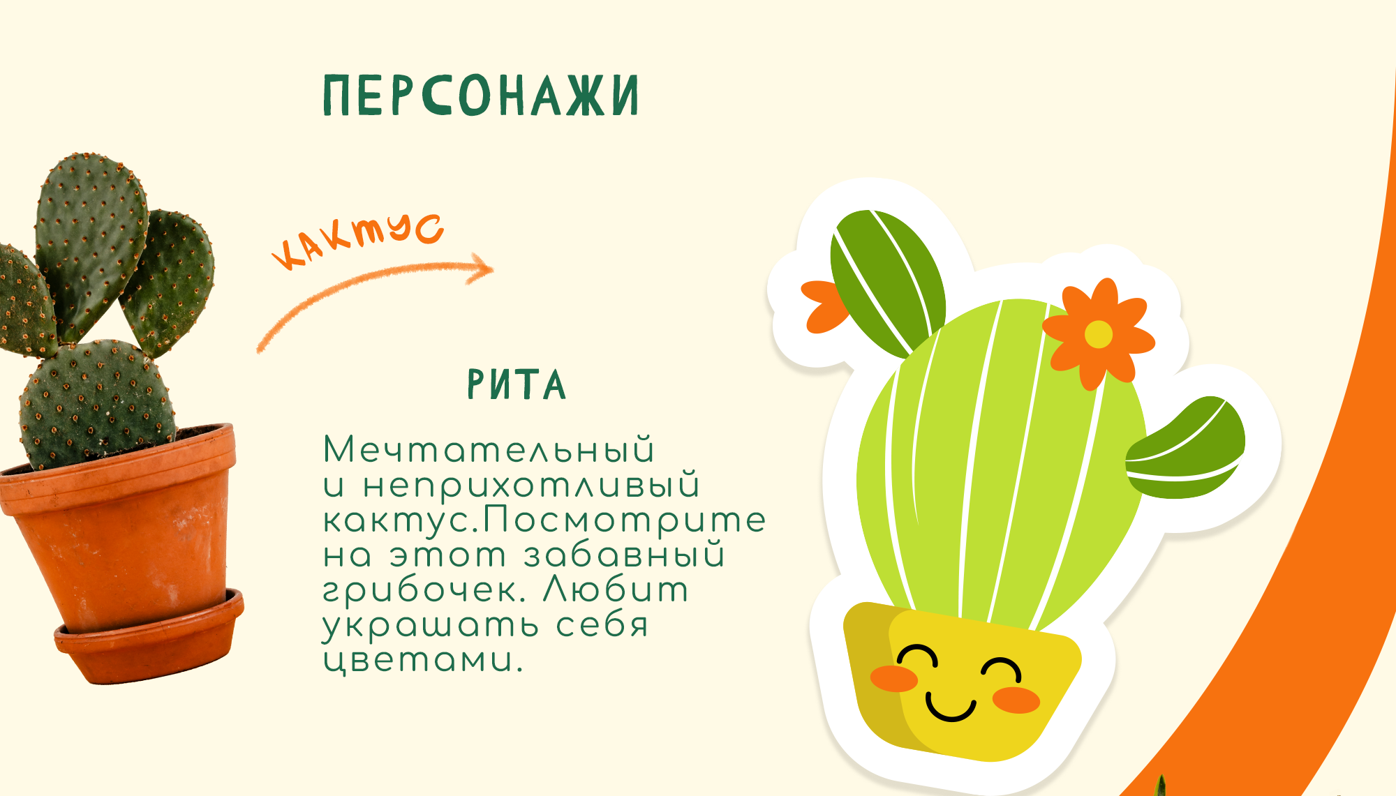 Стикеры с милыми персонажами-растениями для магазина суккулентов — Изображение №4 — Брендинг, Иллюстрация на Dprofile