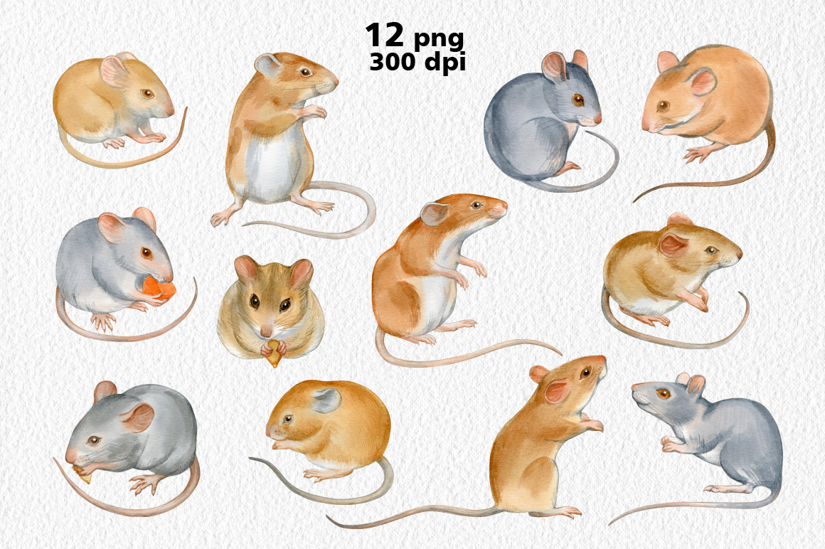 Sihouettes and watercolor images of mouses — Изображение №3 — Графика на Dprofile