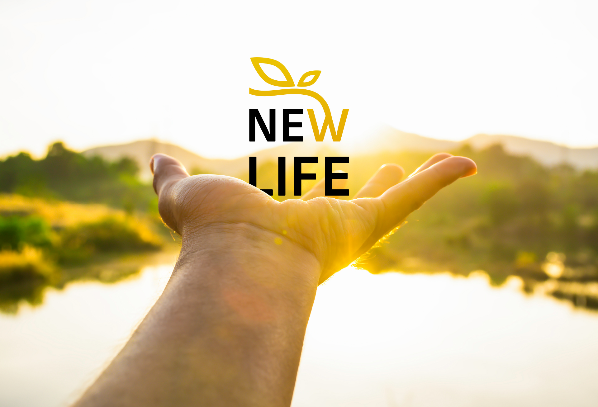 NEW LIFE redesign — Изображение №11 — Брендинг, Графика на Dprofile