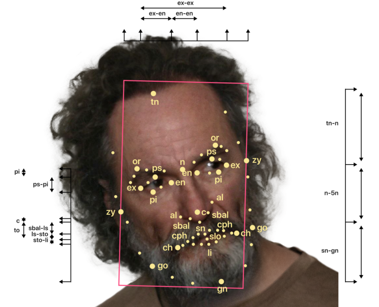 007 — Брендинг на Dprofile