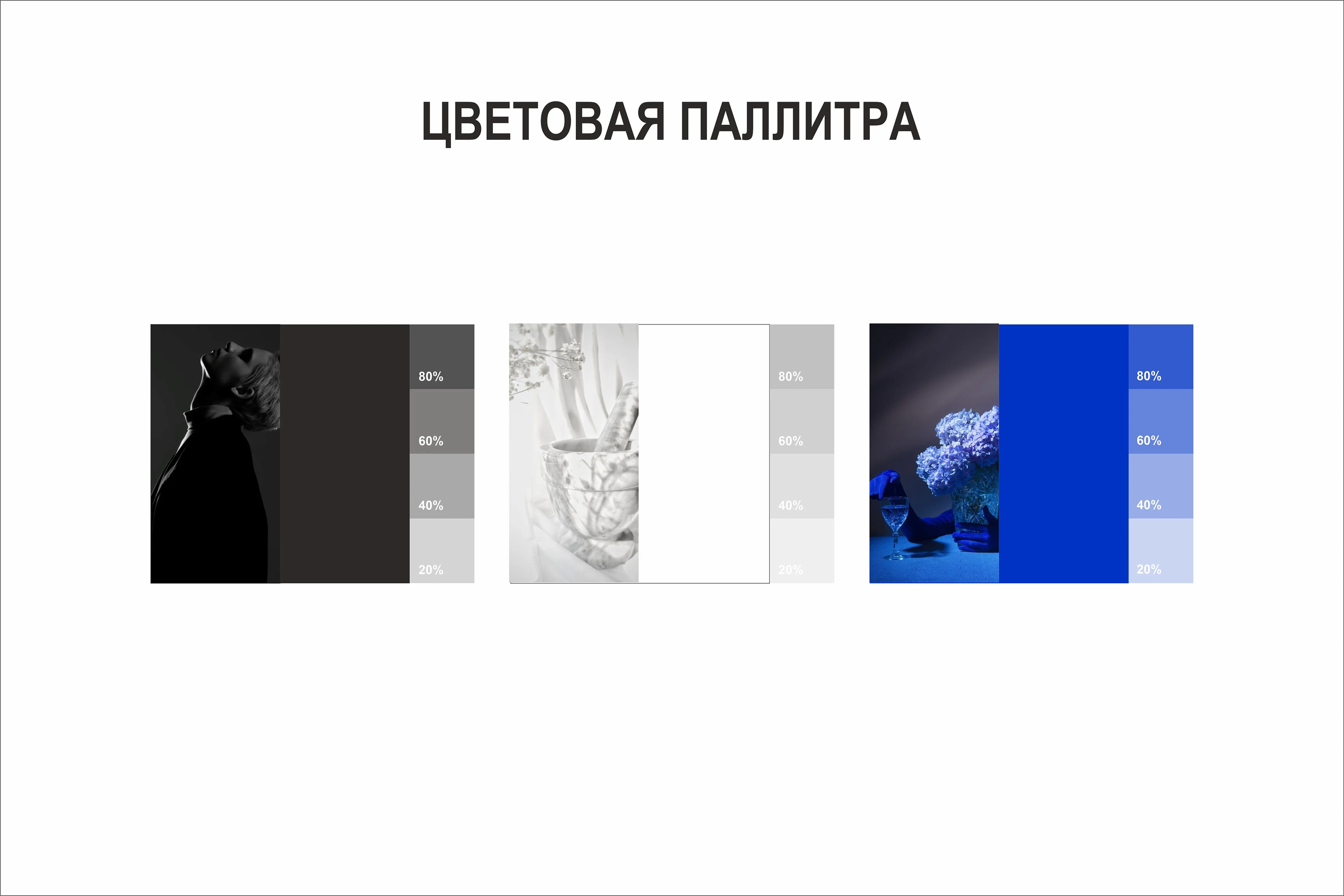 Логотип для колориста — Изображение №4 — Брендинг, Графика на Dprofile