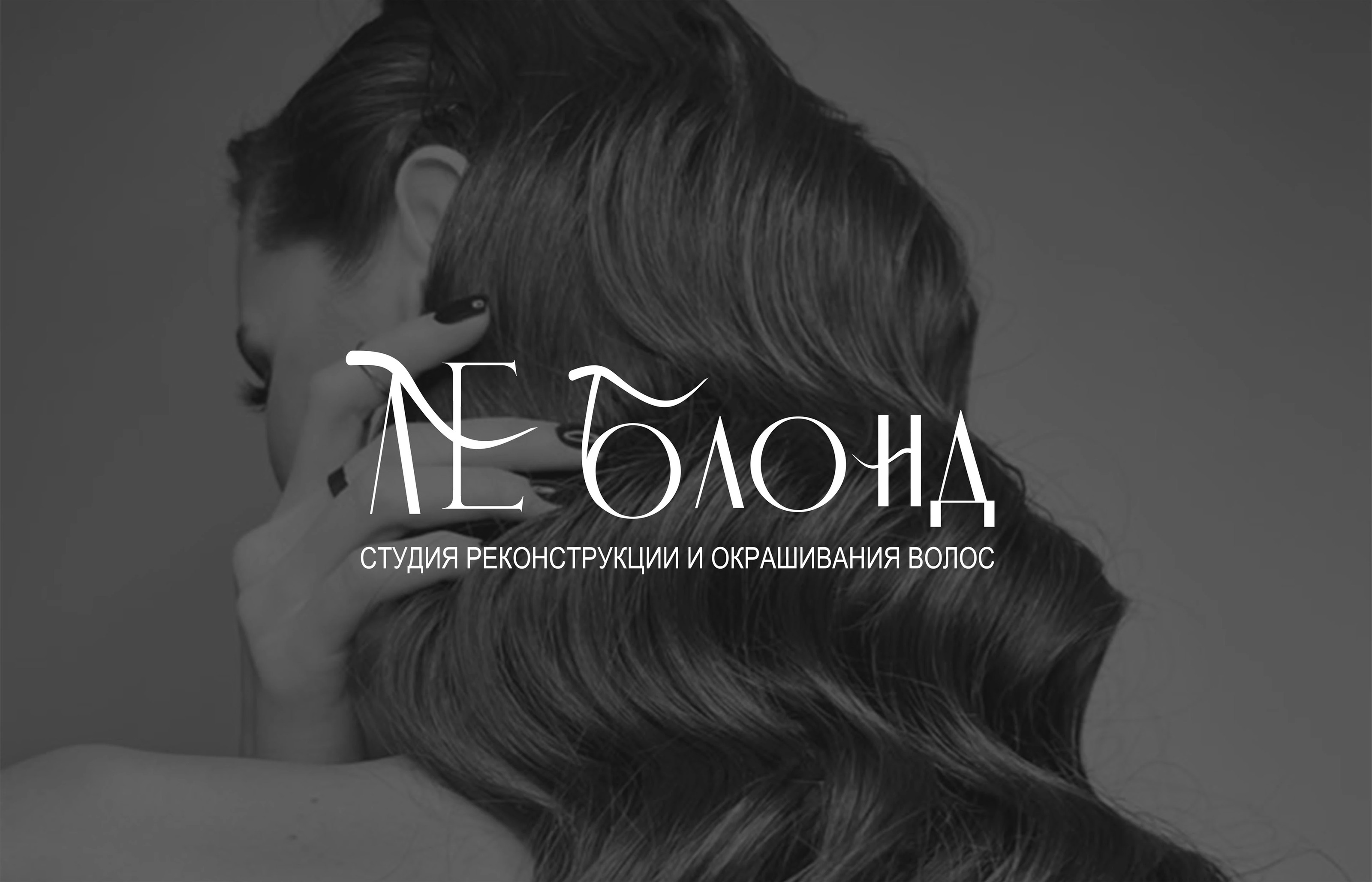 Логотип для колориста — Изображение №1 — Брендинг, Графика на Dprofile