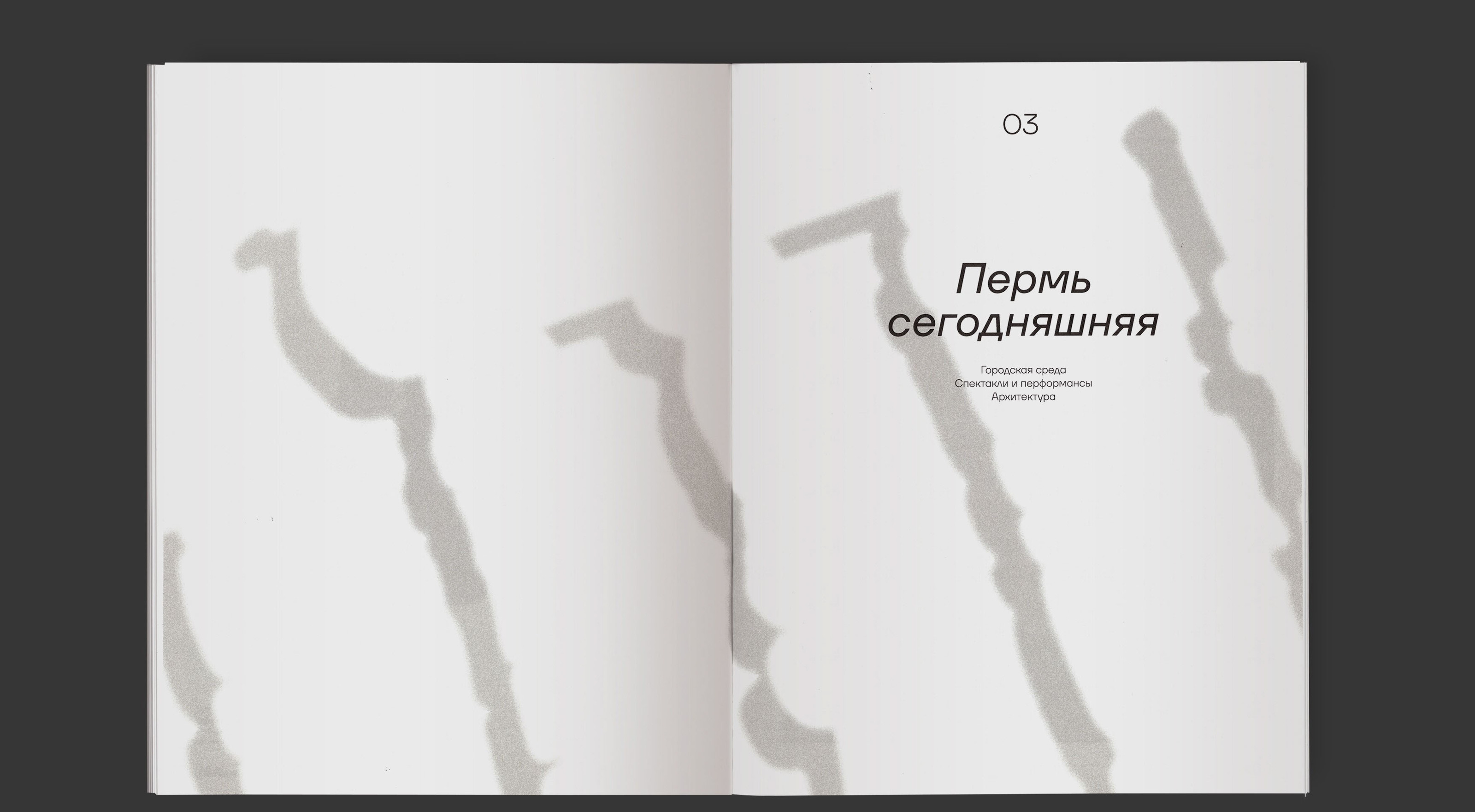 Визуальная идентичность Пермского края — Изображение №14 — Брендинг, Графика на Dprofile