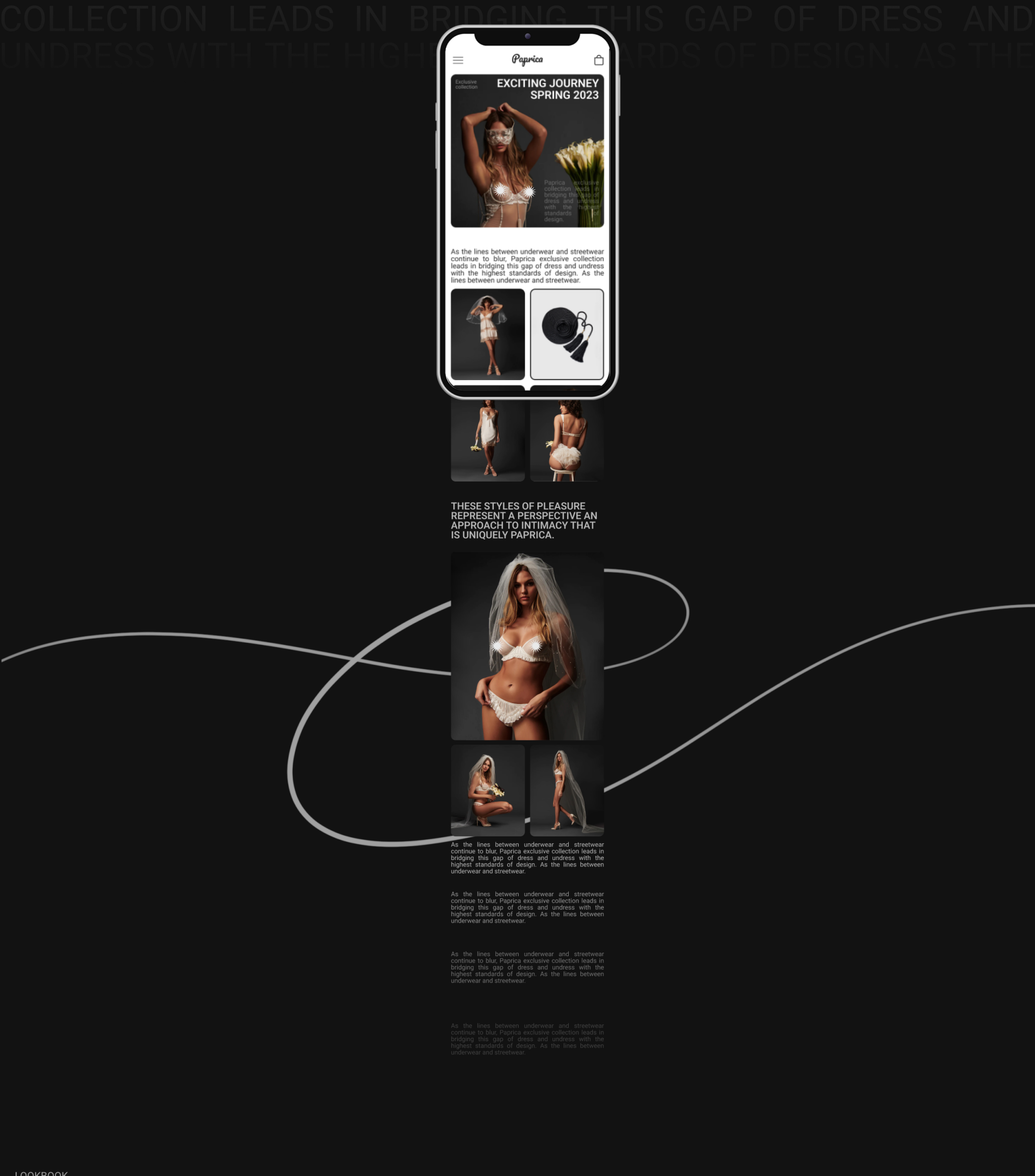 Paprica lingerie | Online store|Concept — Изображение №11 — Интерфейсы на Dprofile