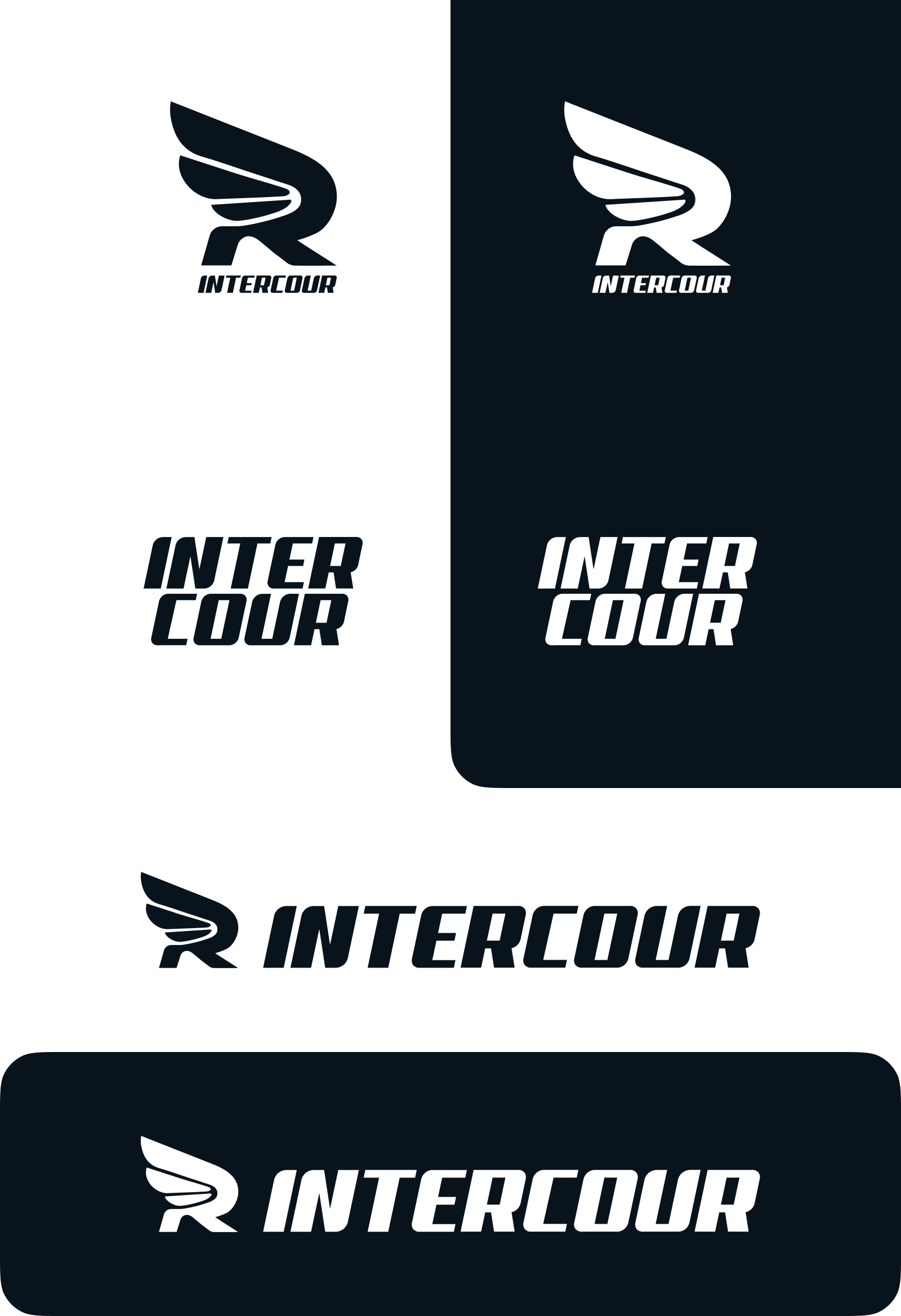 INTERCOUR - delivery service — Изображение №4 — Брендинг на Dprofile