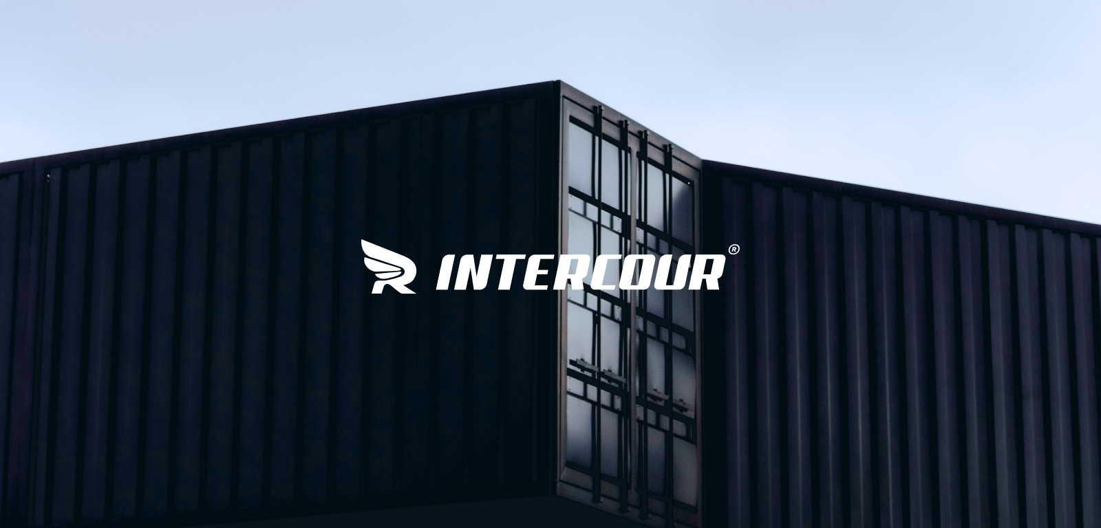 INTERCOUR - delivery service — Изображение №1 — Брендинг на Dprofile