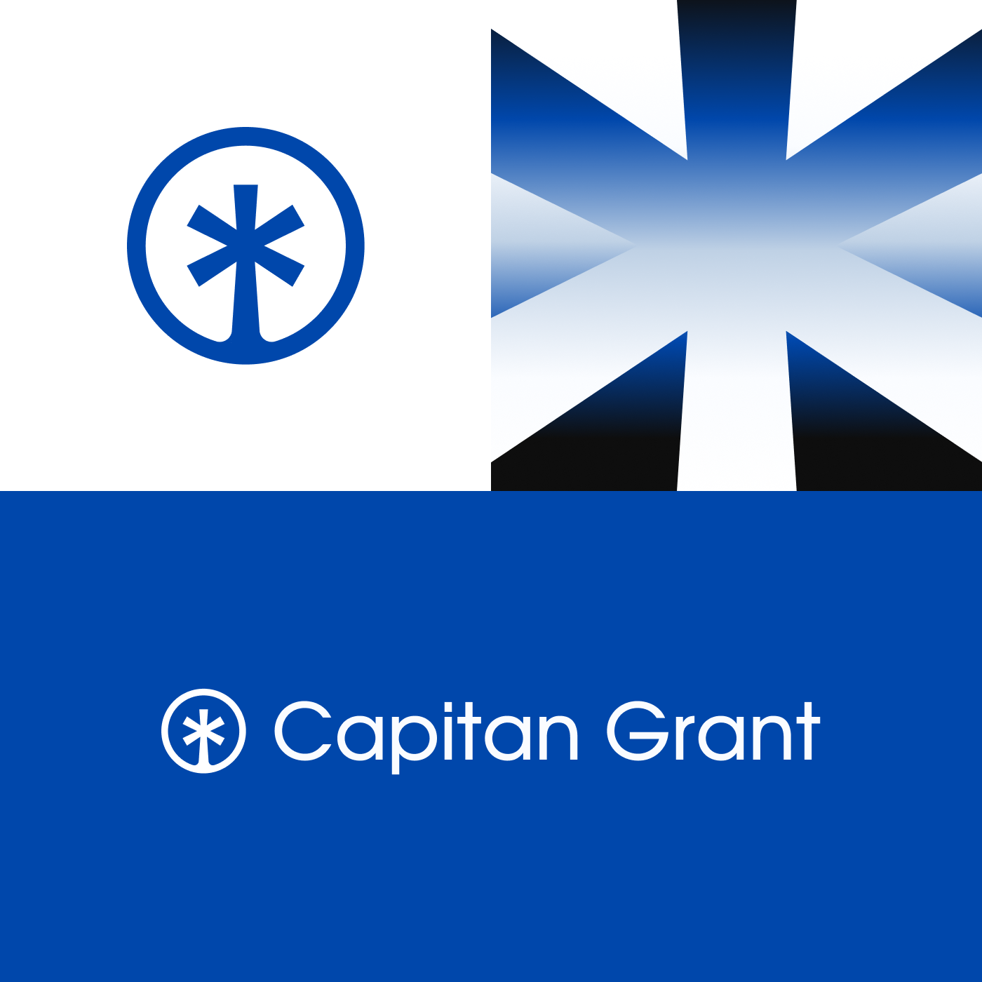 Сapitan Grant - travel agency — Изображение №4 — Брендинг, Графика на Dprofile