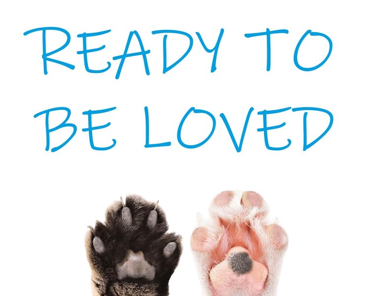 Poster "Ready to be loved" — Иллюстрация, Графика на Dprofile