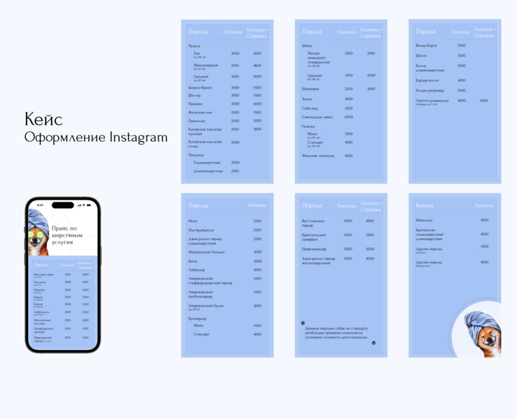 Оформление Instagram Stories — Брендинг, Иллюстрация на Dprofile