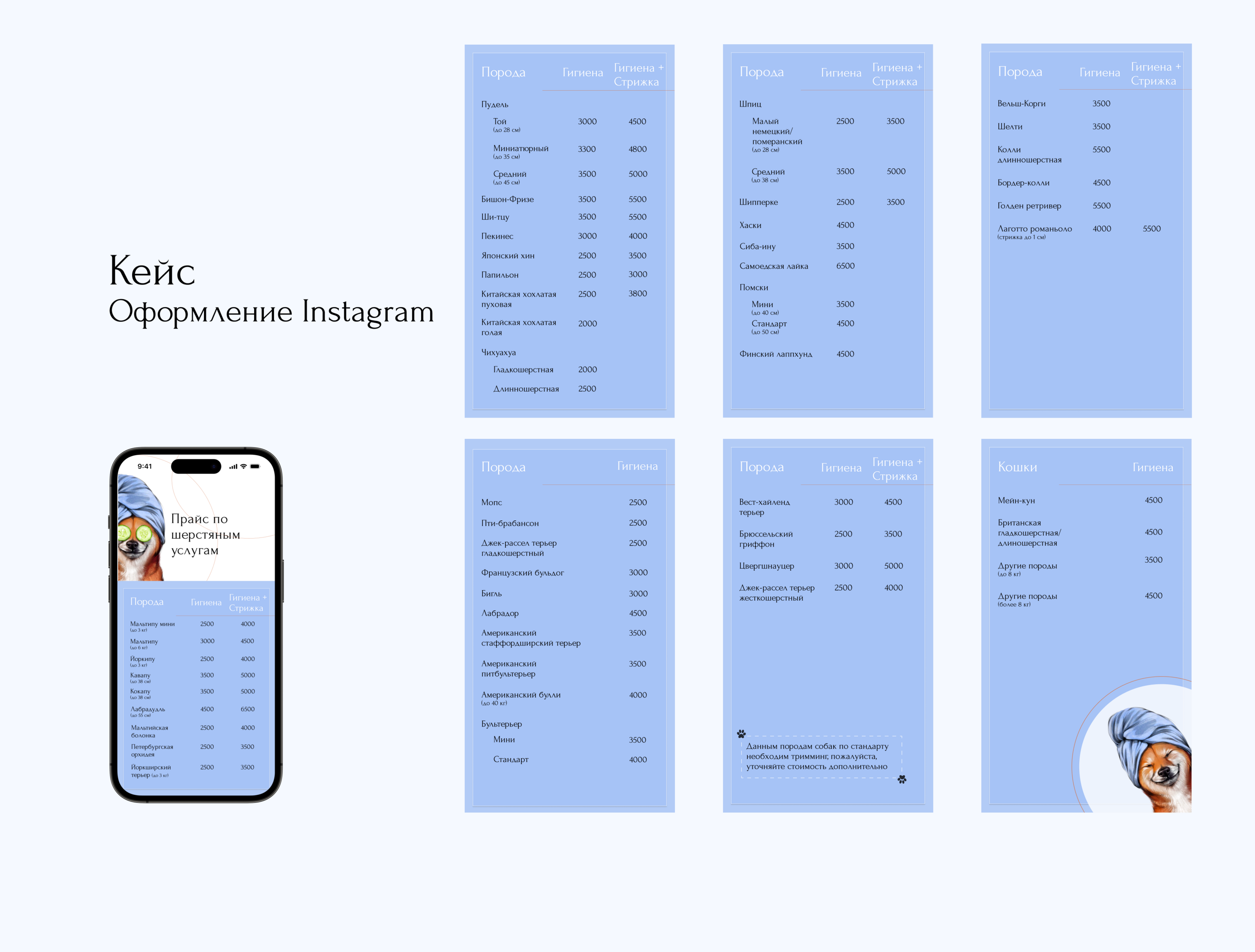 Оформление Instagram Stories — Изображение №1 — Брендинг, Иллюстрация на Dprofile