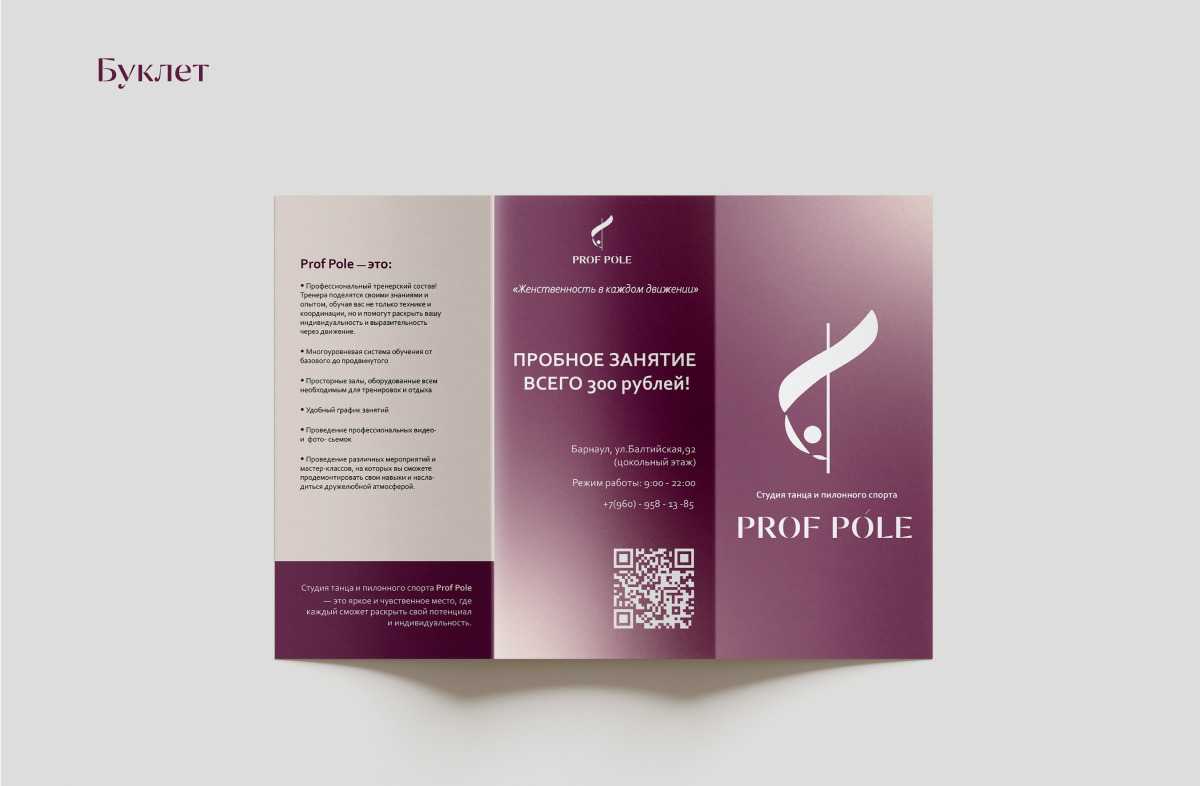 Фирменный стиль для студии танца "Prof Pole" — Изображение №13 — Брендинг, Графика на Dprofile