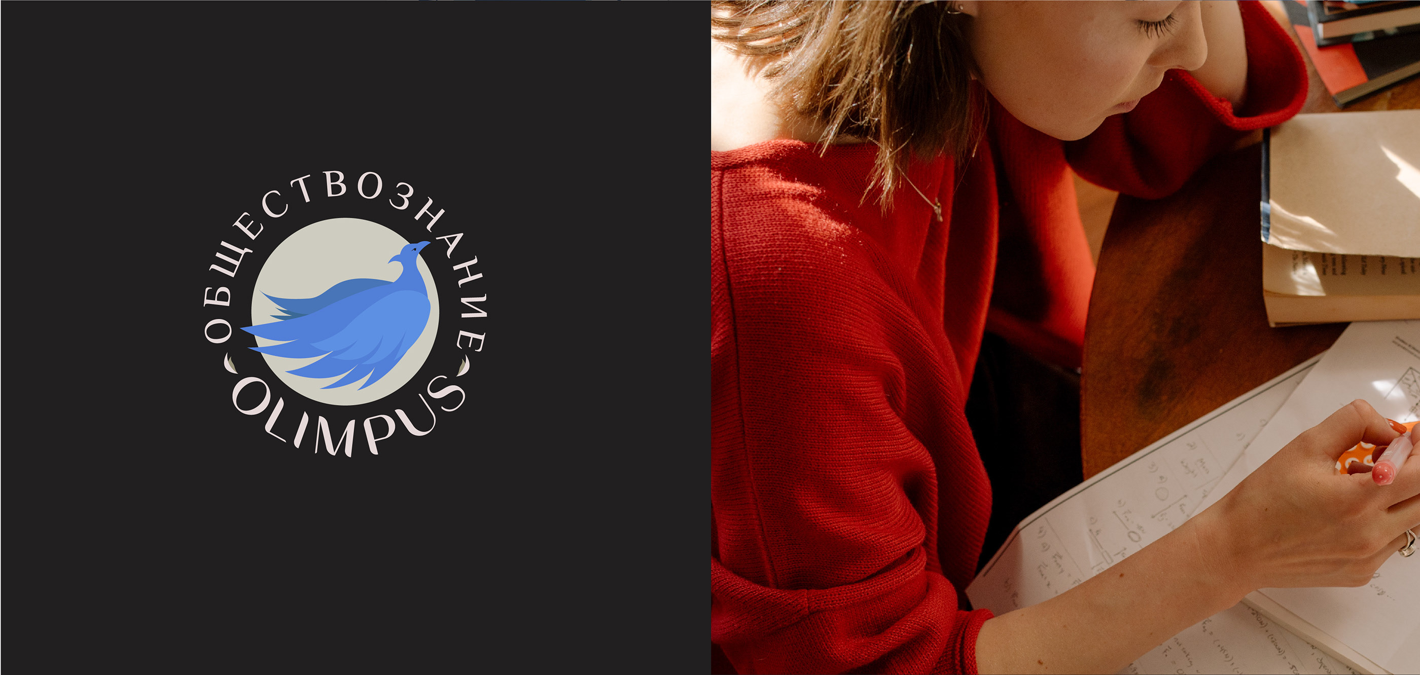 OLIMPUS | education branding | брендинг онлайн-школы — Изображение №6 — Интерфейсы, Брендинг, Иллюстрация на Dprofile