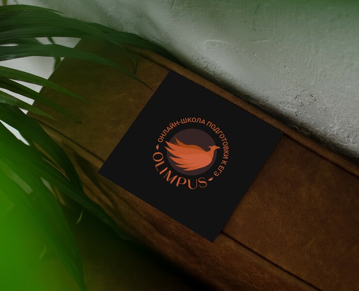 OLIMPUS | education branding | брендинг онлайн-школы — Интерфейсы, Брендинг, Иллюстрация на Dprofile