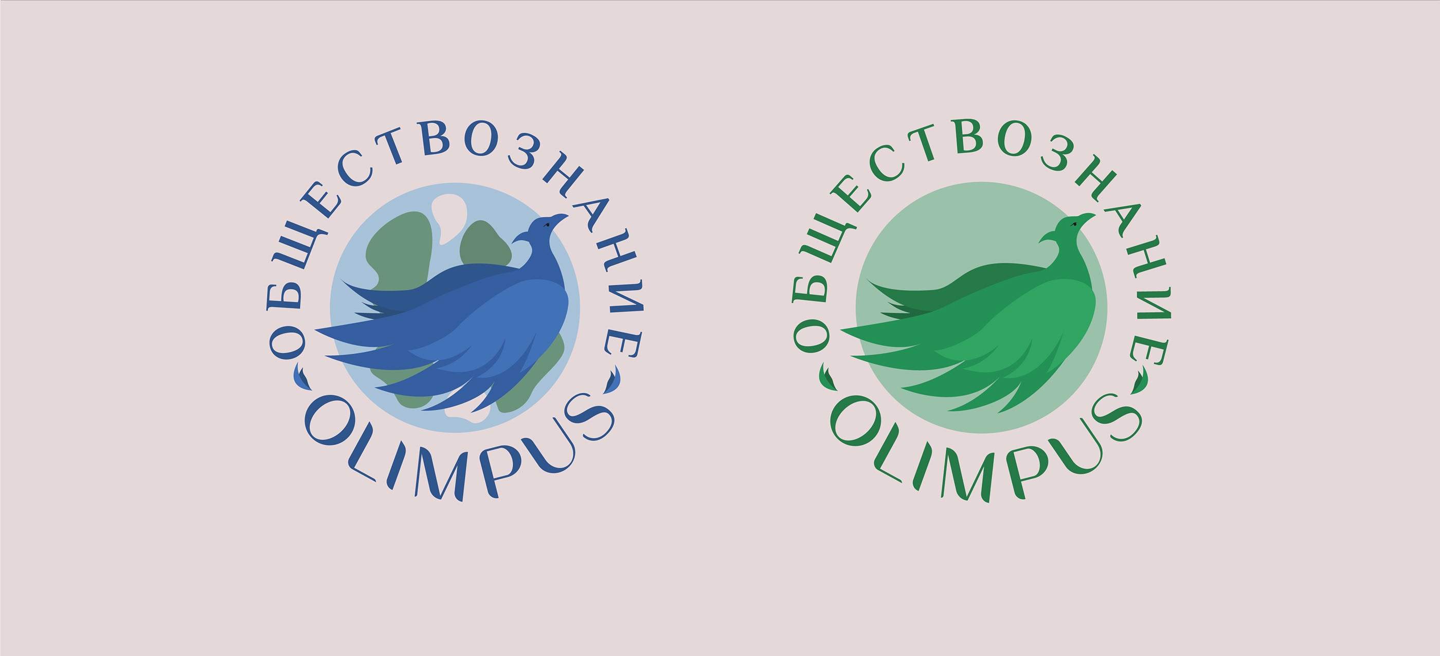 OLIMPUS | education branding | брендинг онлайн-школы — Изображение №7 — Интерфейсы, Брендинг, Иллюстрация на Dprofile