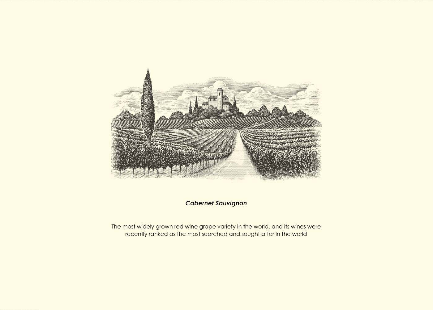 Jordan Wine/Design/Advertisement — Изображение №2 — Графика, Маркетинг на Dprofile