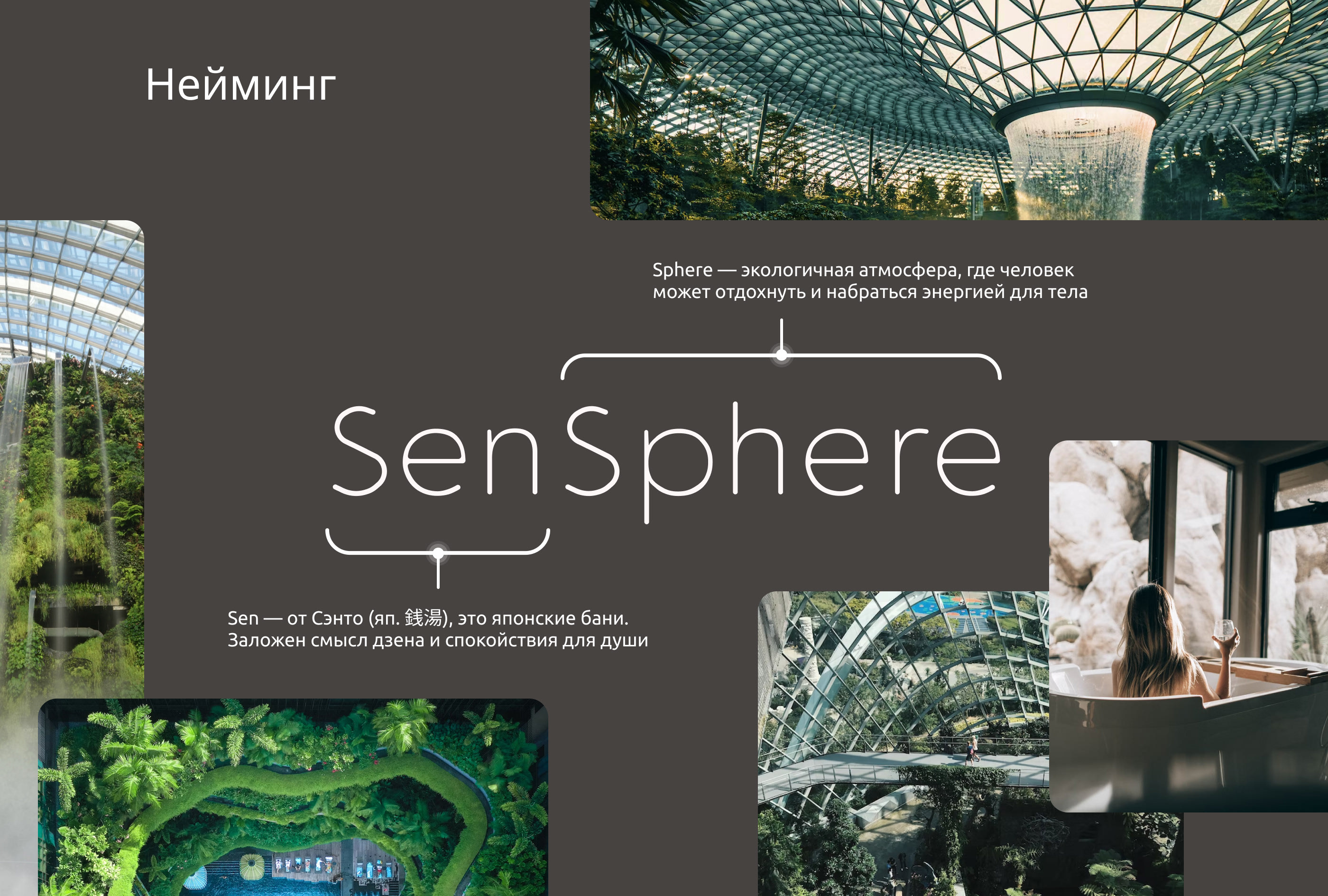 SenSphere - Branding — Изображение №5 — Брендинг на Dprofile