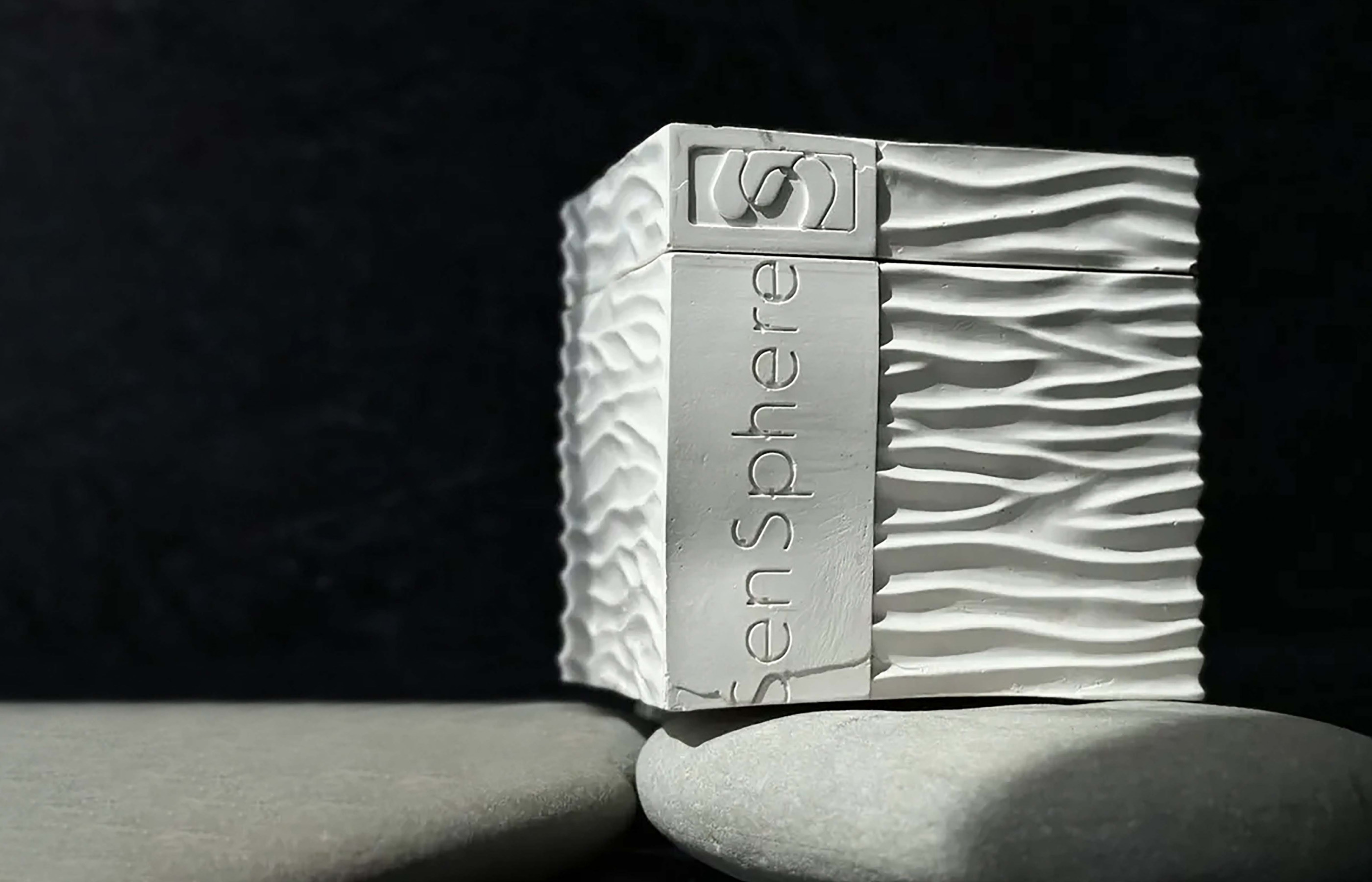 SenSphere - Branding — Изображение №1 — Брендинг на Dprofile