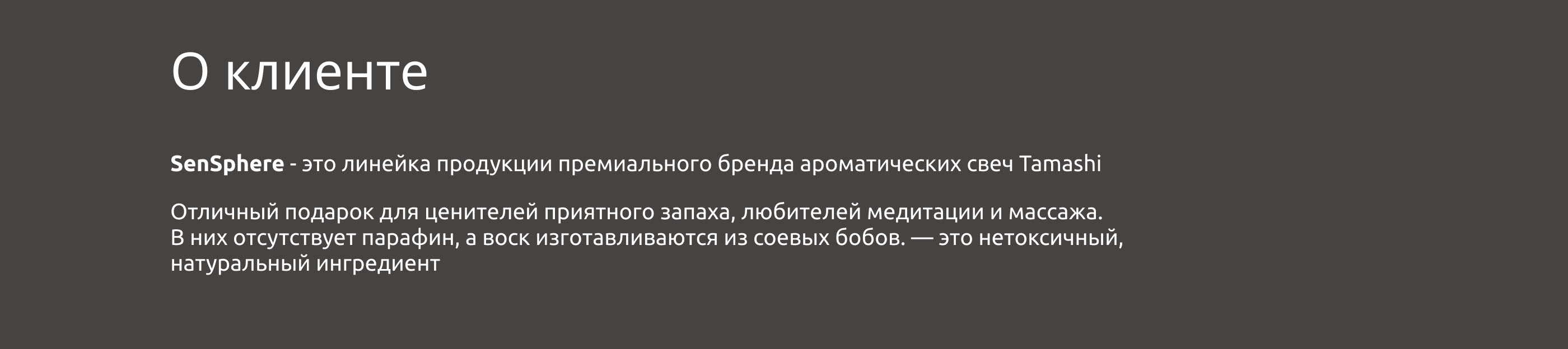 SenSphere - Branding — Изображение №2 — Брендинг на Dprofile