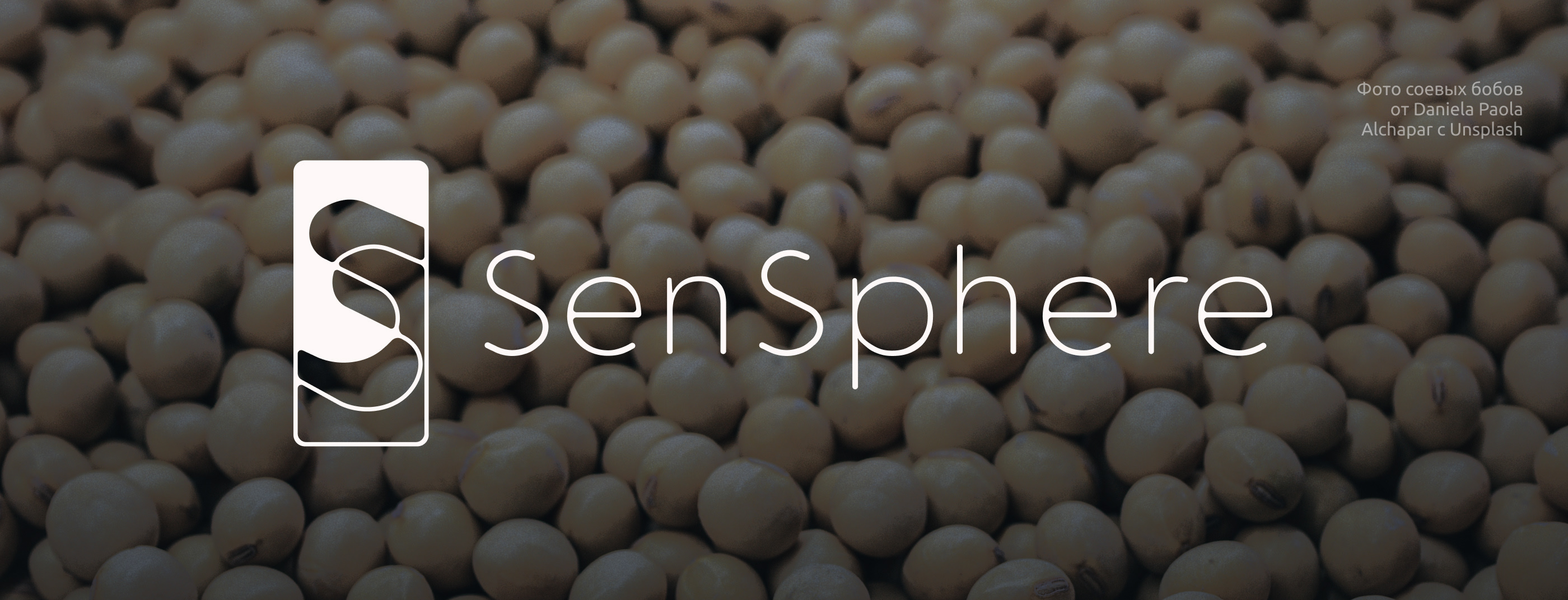 SenSphere - Branding — Изображение №3 — Брендинг на Dprofile