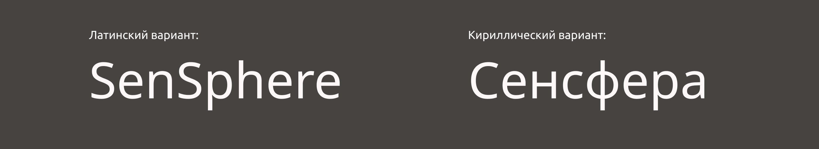 SenSphere - Branding — Изображение №6 — Брендинг на Dprofile