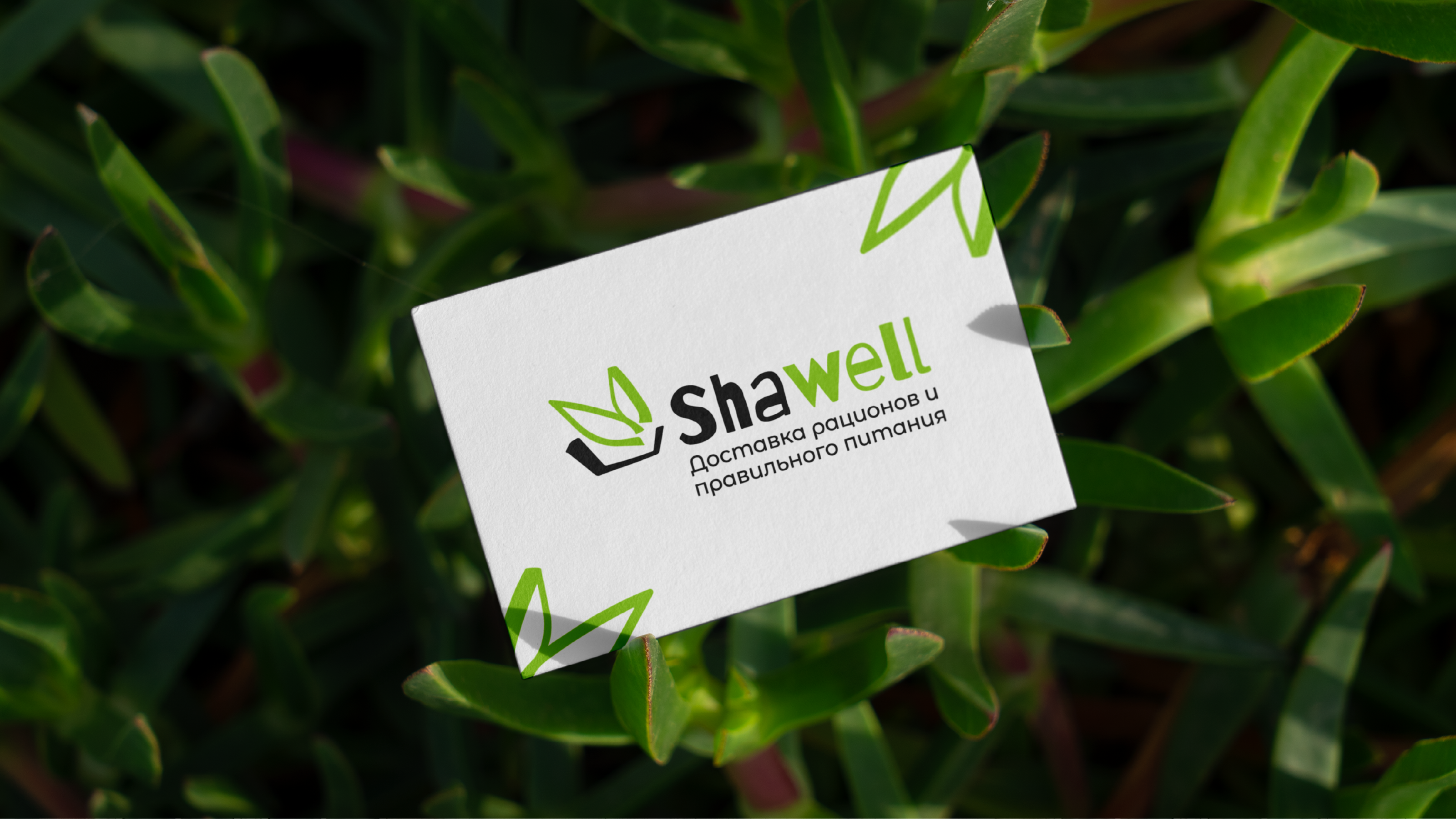Shawell - доставка рационов питания — Изображение №10 — Брендинг, Графика на Dprofile