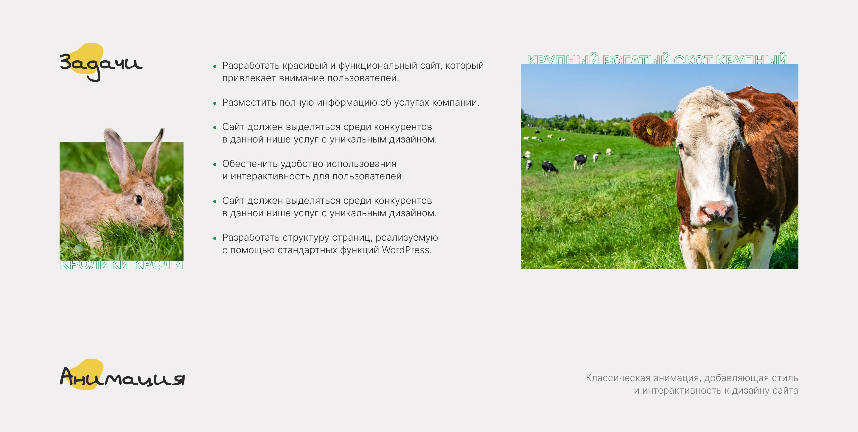 Редизайн для сайта комбикормов | Ленкорм — Изображение №2 — Интерфейсы, Брендинг на Dprofile