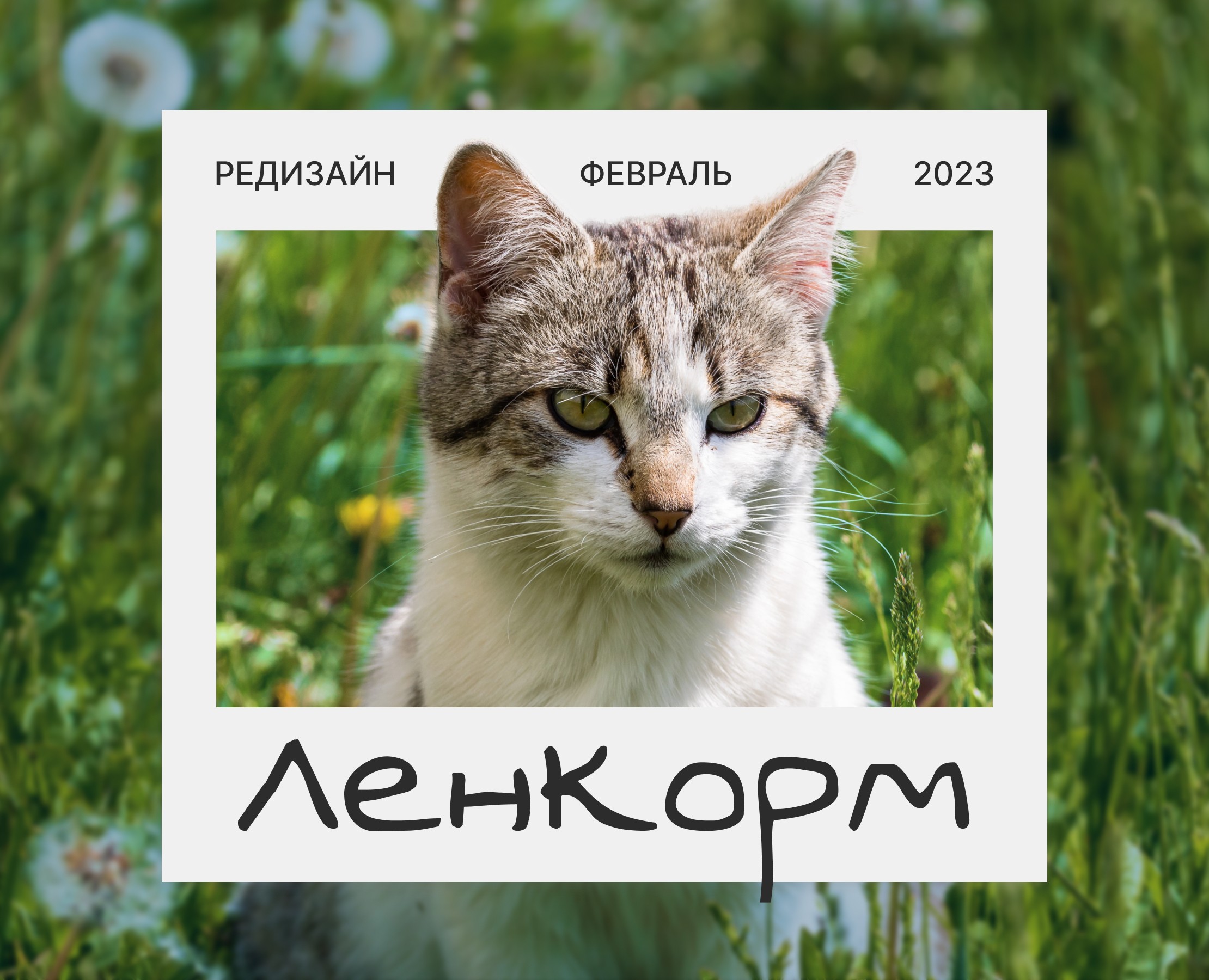 Редизайн для сайта комбикормов | Ленкорм — Интерфейсы, Брендинг на Dprofile