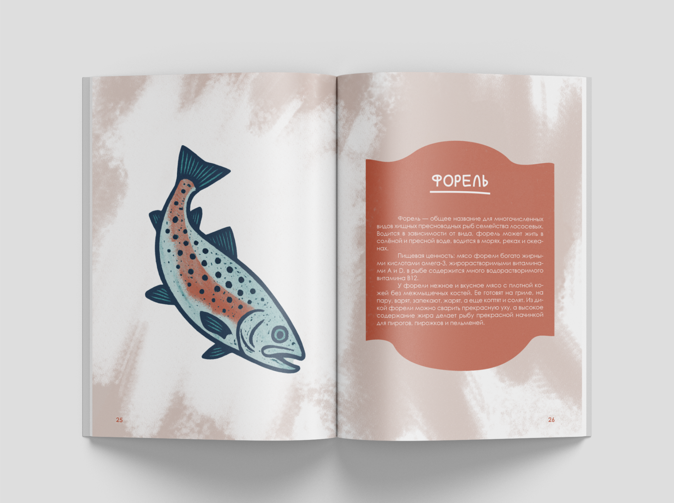 Фирменный стиль для рыбной лавки "У моряка" — Изображение №14 — Брендинг, Графика на Dprofile