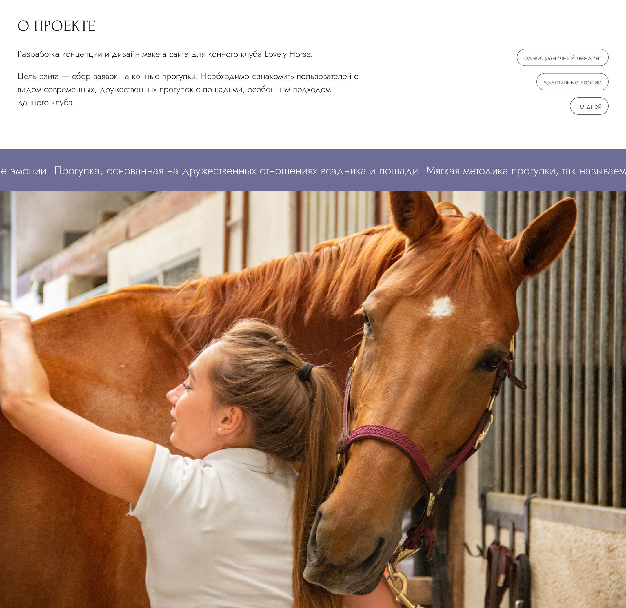 Лендинг Прогулки с лошадьми Lovely Horse — Изображение №2 — Интерфейсы на Dprofile