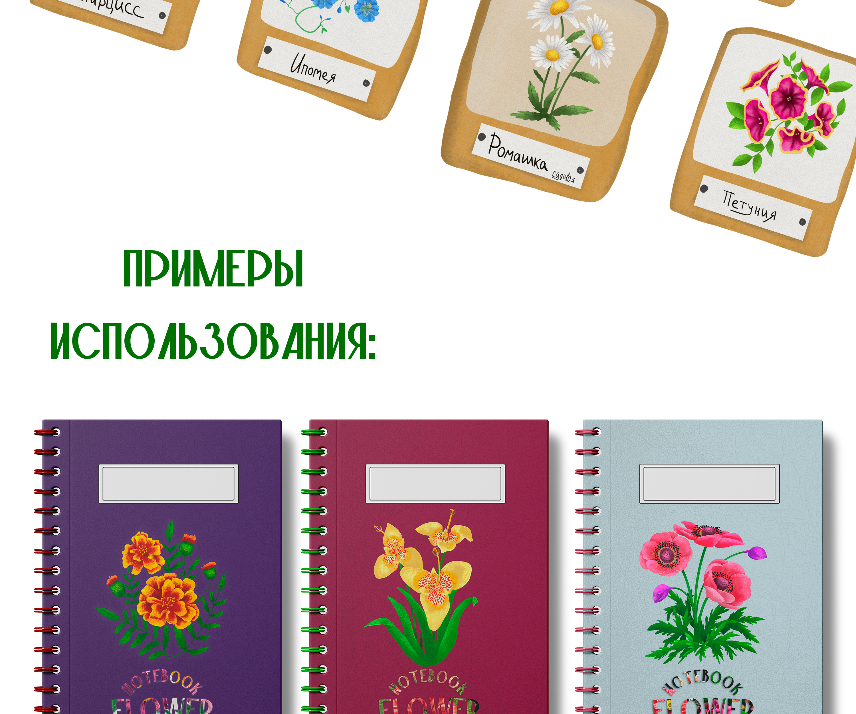 Коллекция ботанических иллюстраций — Изображение №4 — Иллюстрация, Графика на Dprofile