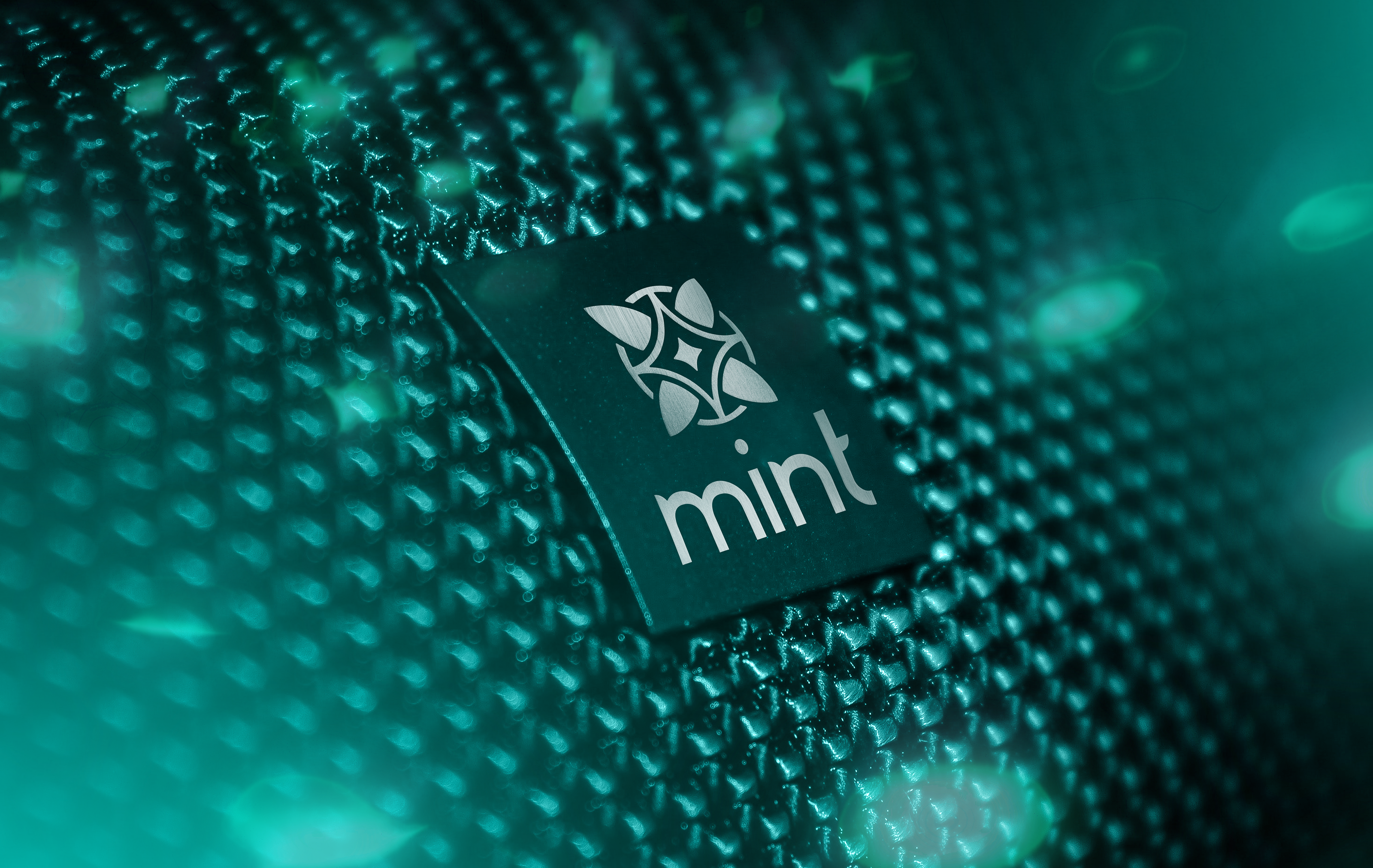 Mint | Логотип и фирменный стиль — Изображение №1 — Брендинг, Анимация на Dprofile
