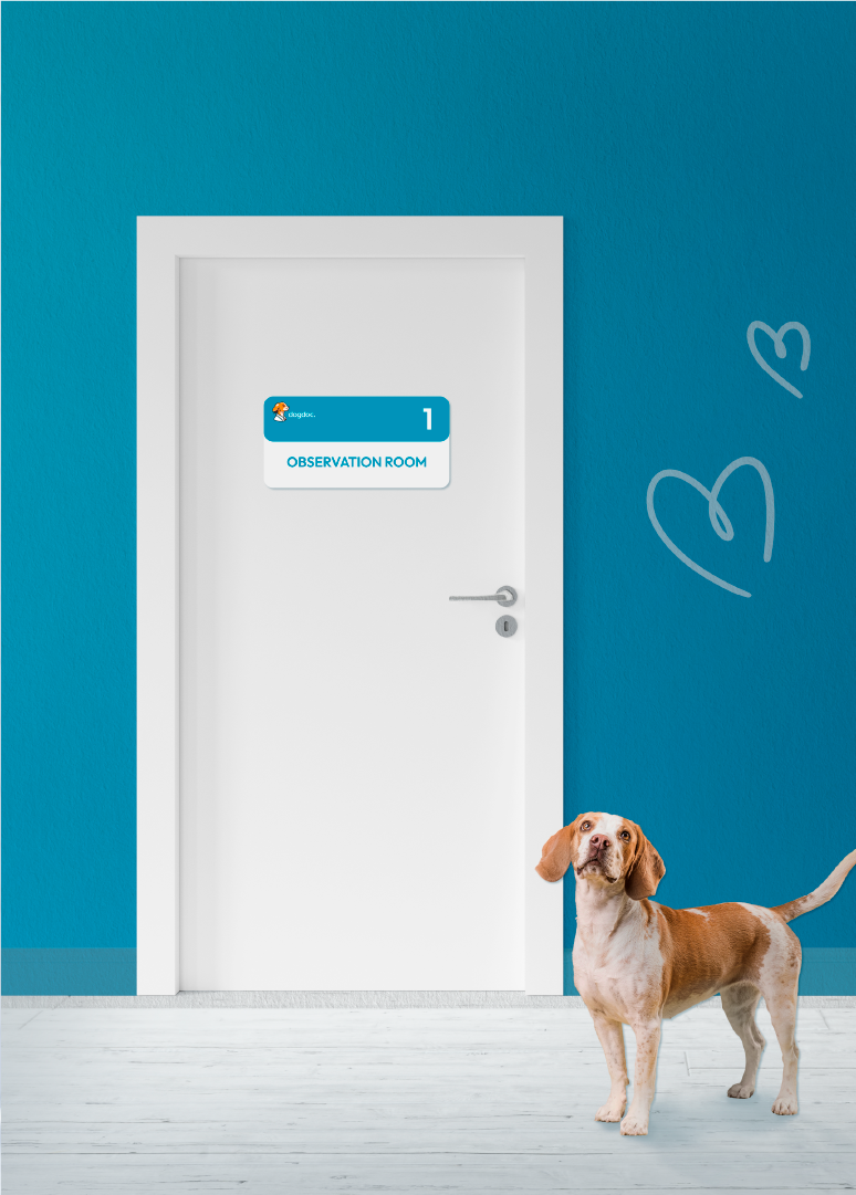 dogdoc. | логотип для ветеринарной клиники — Изображение №5 — Брендинг, Анимация на Dprofile