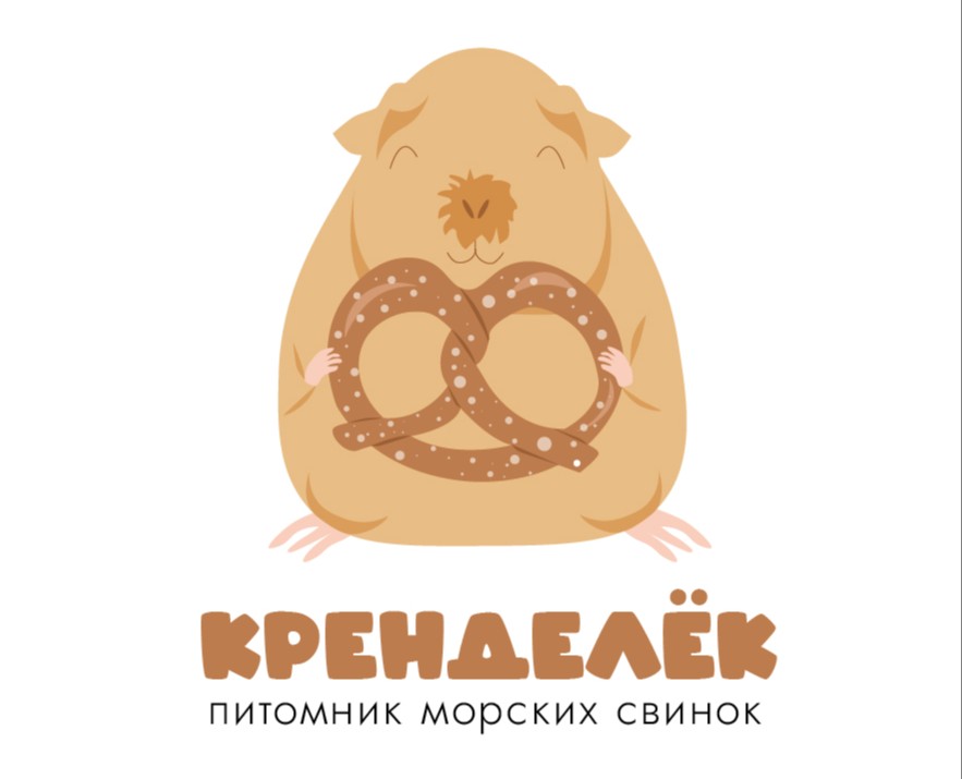 Фирменный стиль для питомника морских свинок на Dprofile