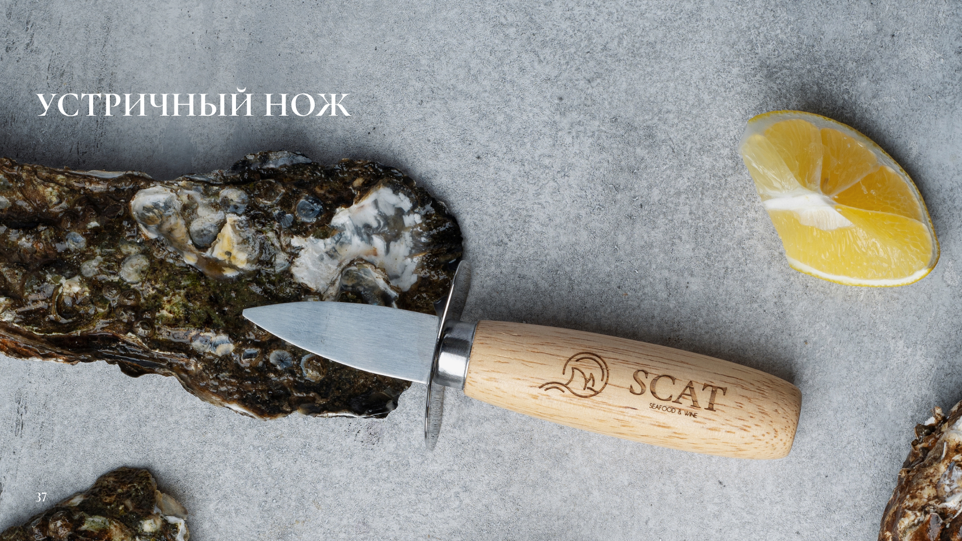 Брендбук для гастро-бара — Изображение №9 — Брендинг на Dprofile